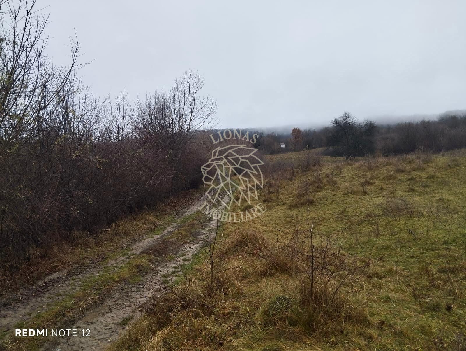 Teren 1000 mp-ideal casa de vacanta, investitie-Zona Valea Budacului