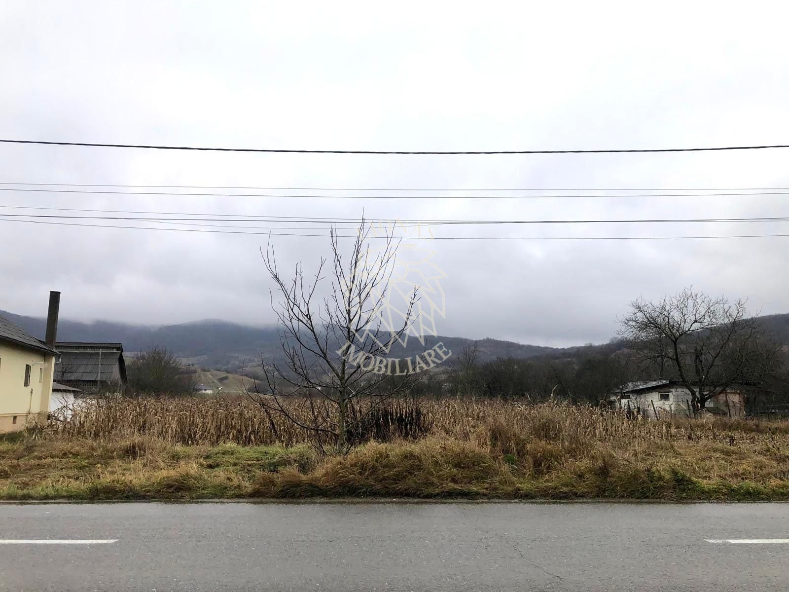 Parcele teren intravilan 1000 mp cu utilitati-ideal casa-Arcalia