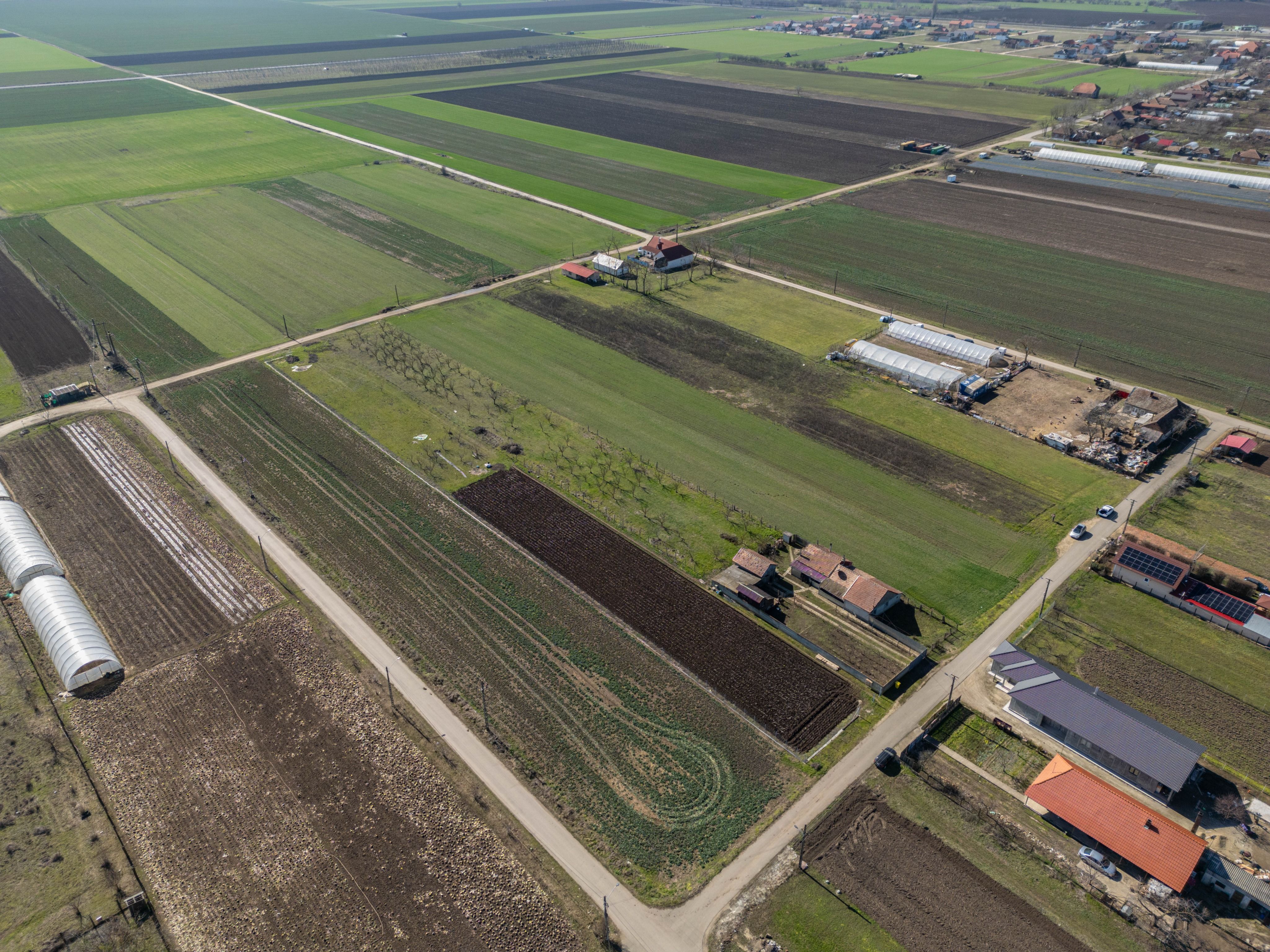 Teren 3.600 mp în Curtici, 2 fronturi stradale – La doar 20 km de Arad — fotografia 6