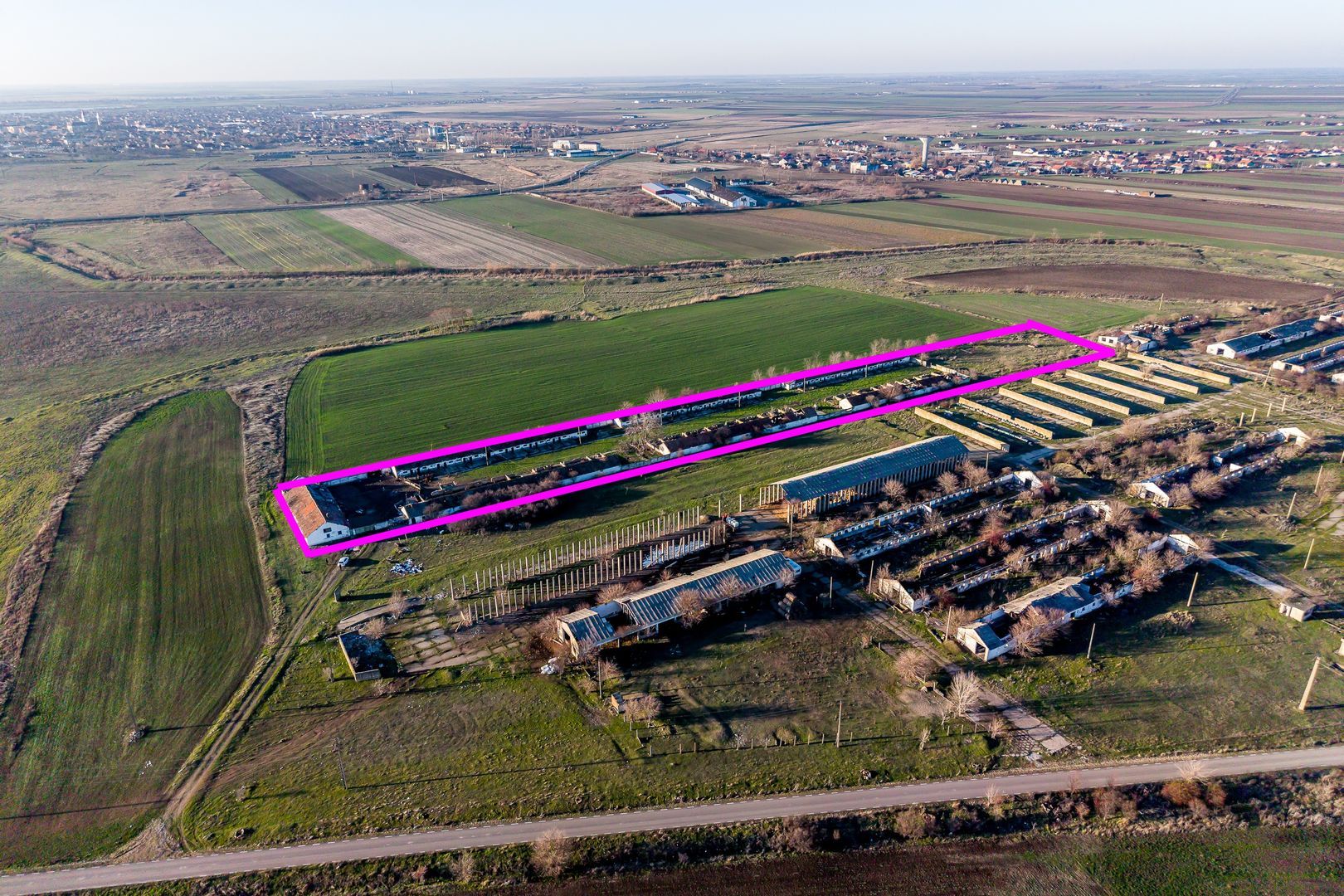 NĂDLAC | Teren 1.15 HA lângă Autostradă | 2.500mp Hale — fotografia 3