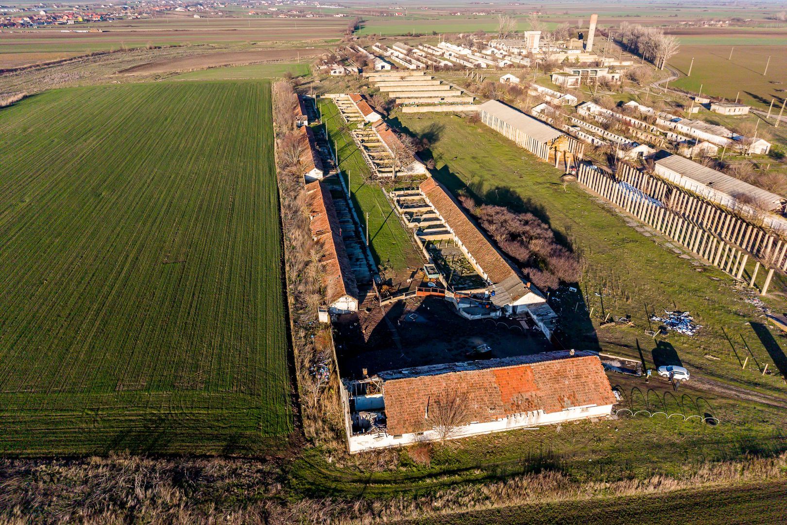 NĂDLAC | Teren 1.15 HA lângă Autostradă | 2.500mp Hale — fotografia 4