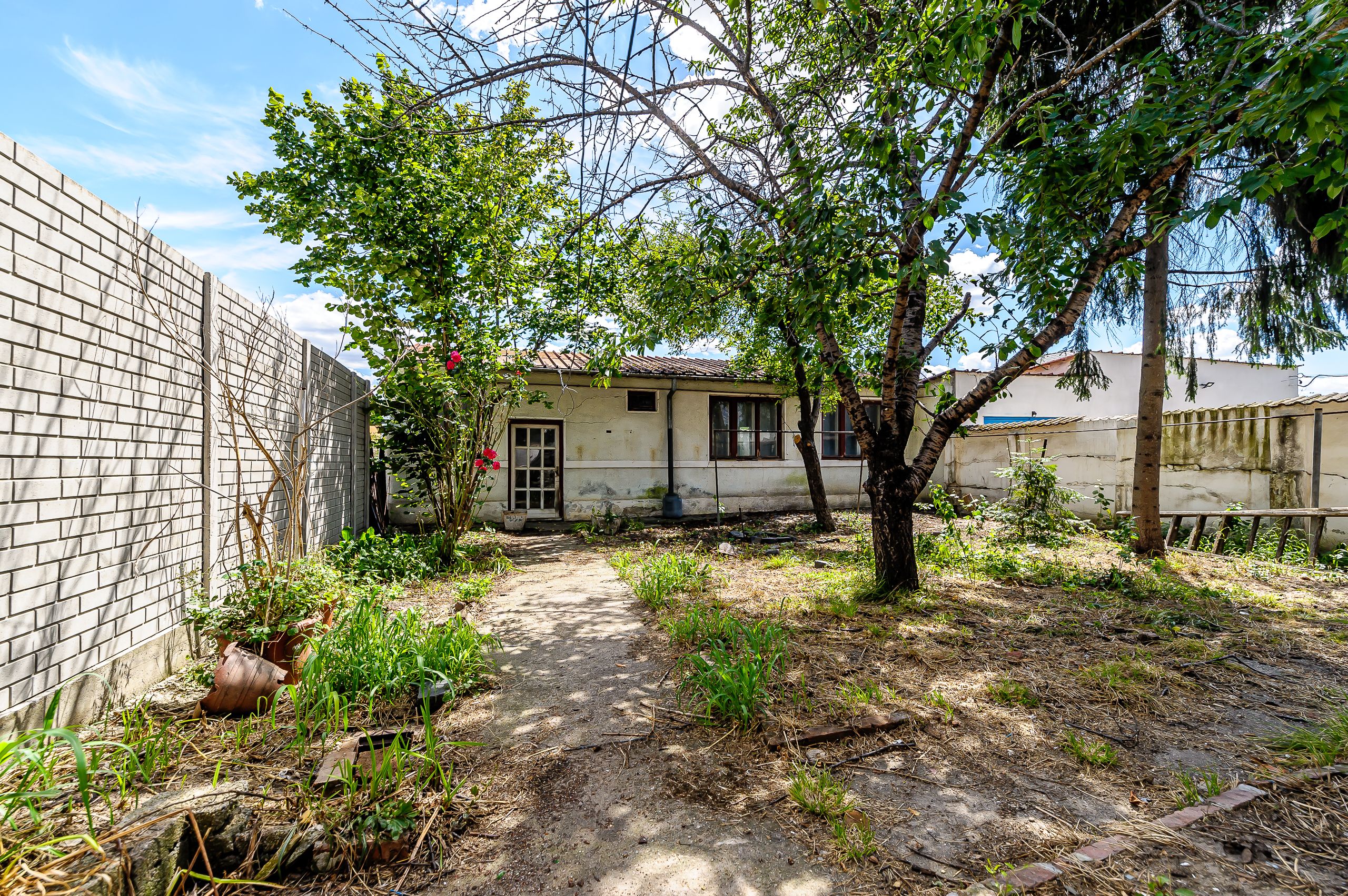 Casă pe Str. Dorobanților | 716 mp teren | Pârneava — fotografia 10