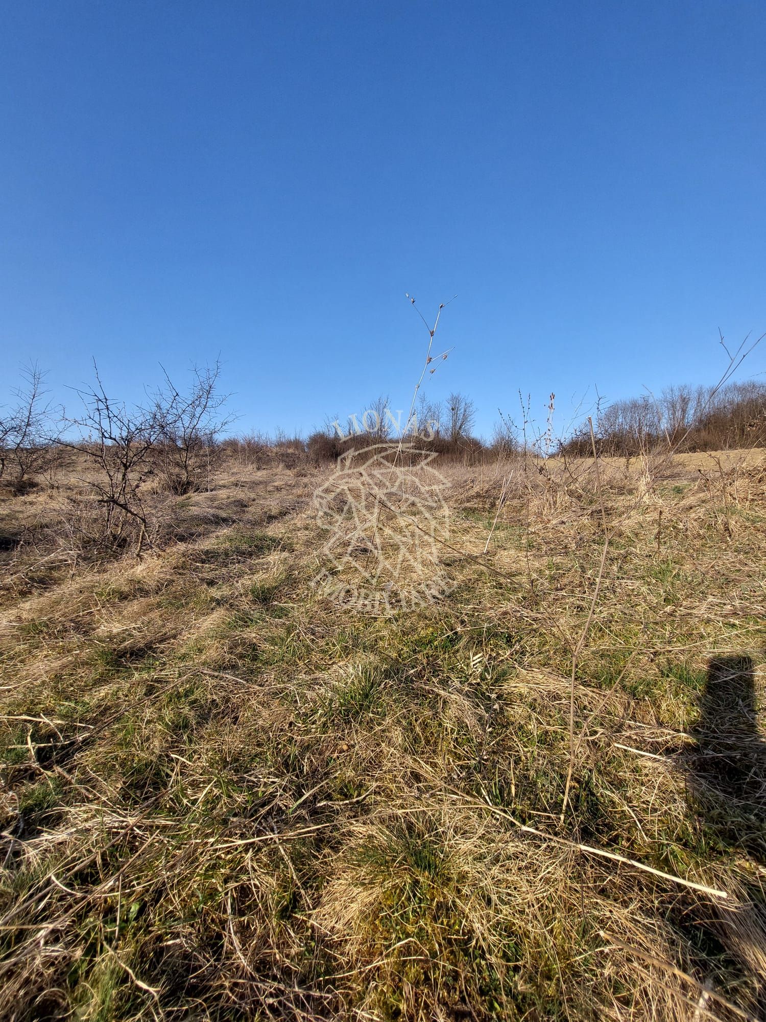 Teren 2100 mp in Zona Valea Stanelor