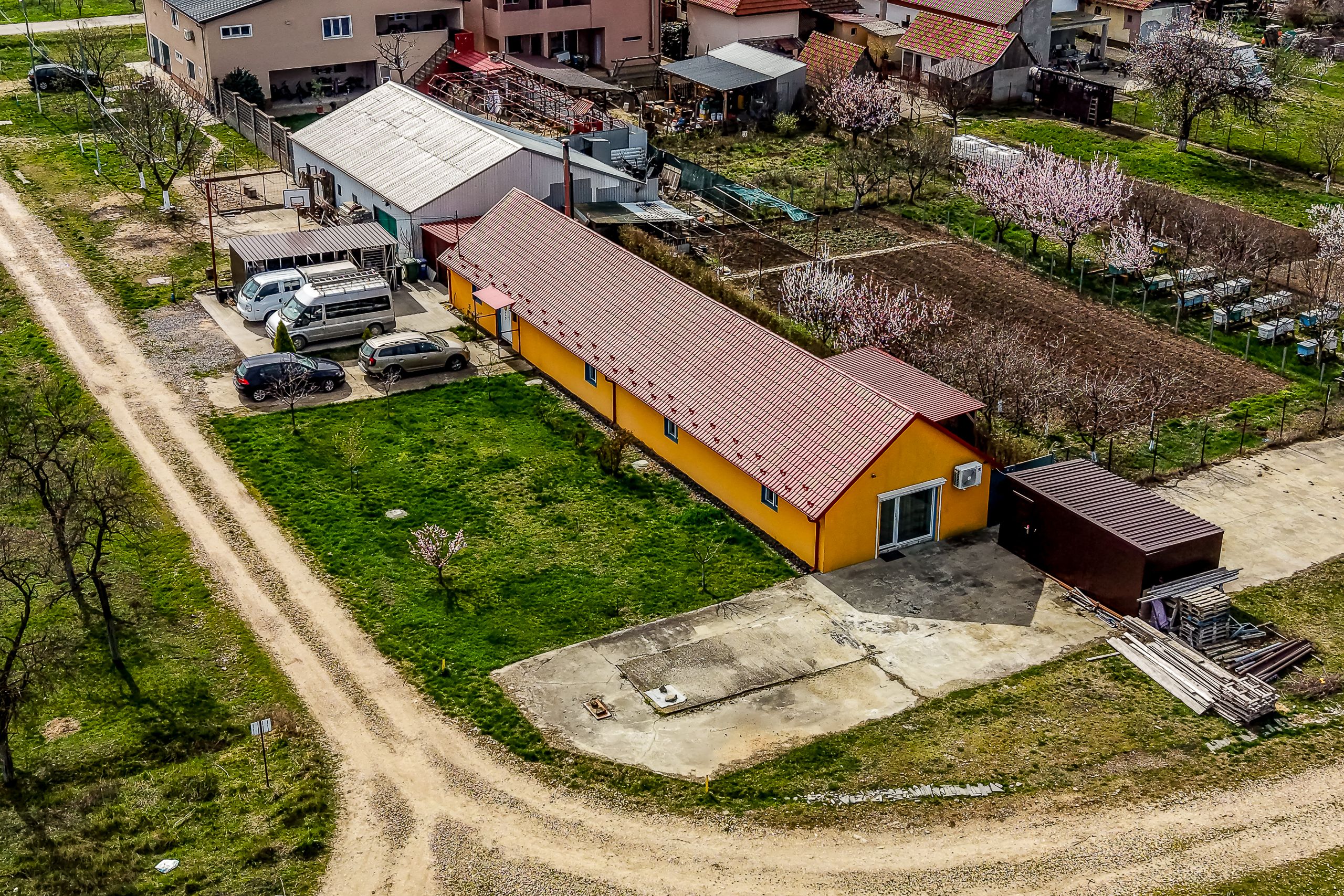 PREȚ AJUSTAT | Casa din lunca Mureșului: intimitate 100% — fotografia 6