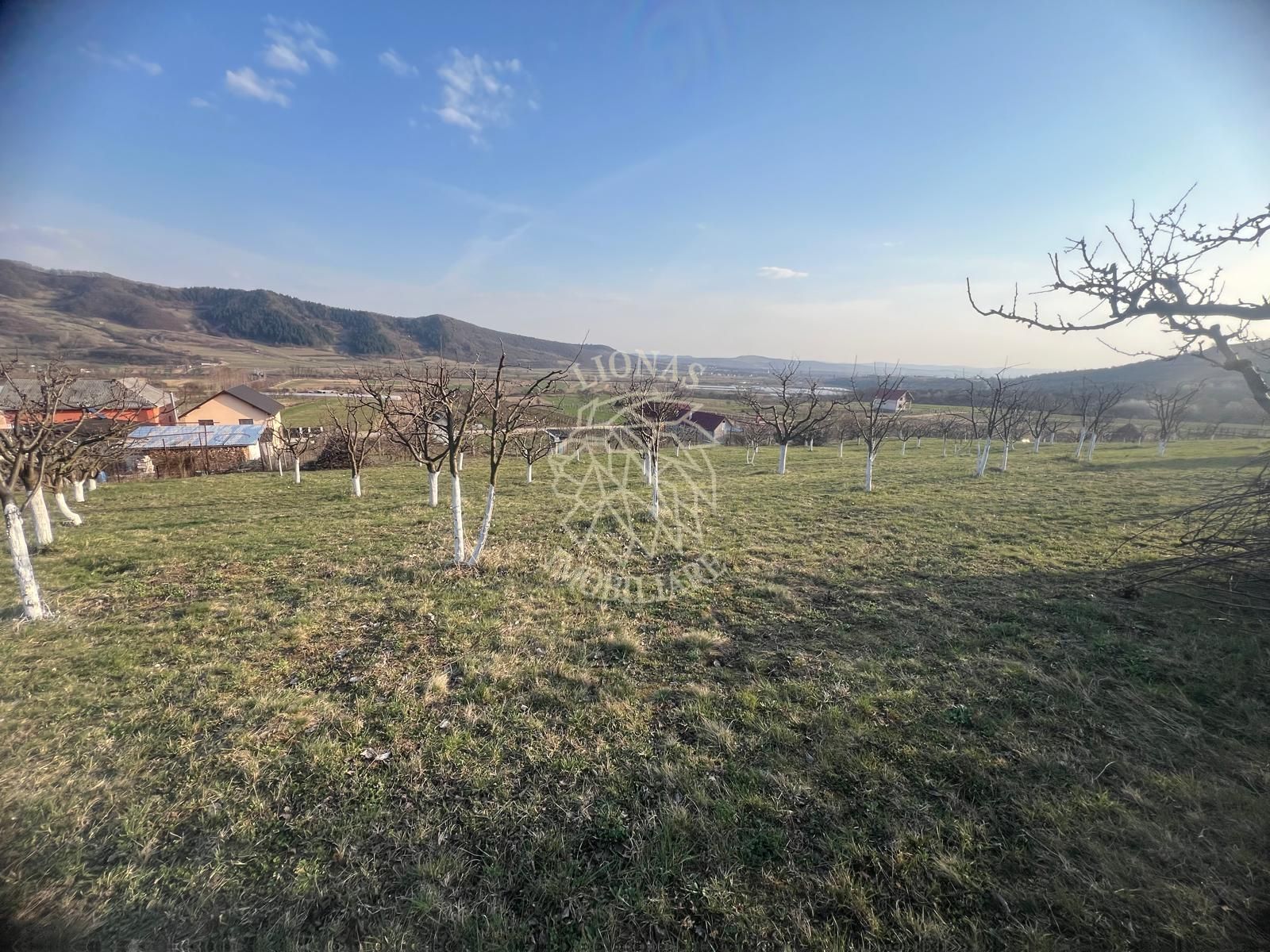 Teren 3100 mp-livada-ideal casa-Mititei