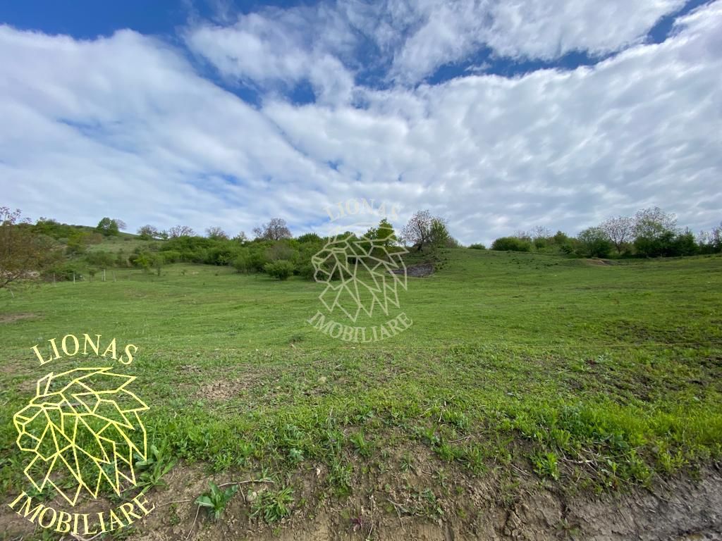 Teren 5000 mp-ideal investitie-Ghinda