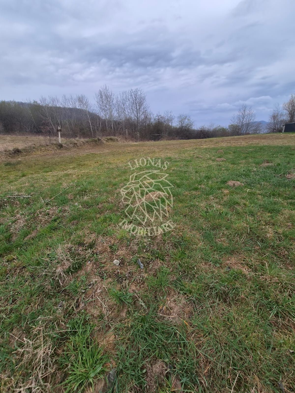 Teren  887 mp cu utilitati - Zona Dealul Jelnei