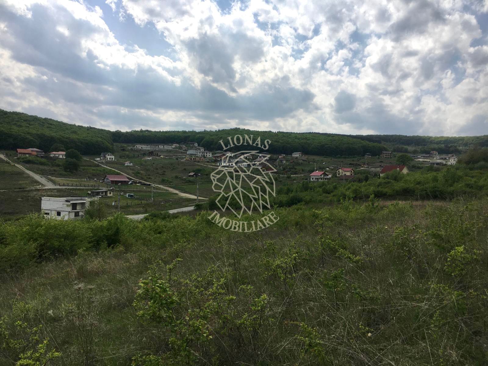 Teren intravilan 700 mp-ideal casa-Dealul Jelnei