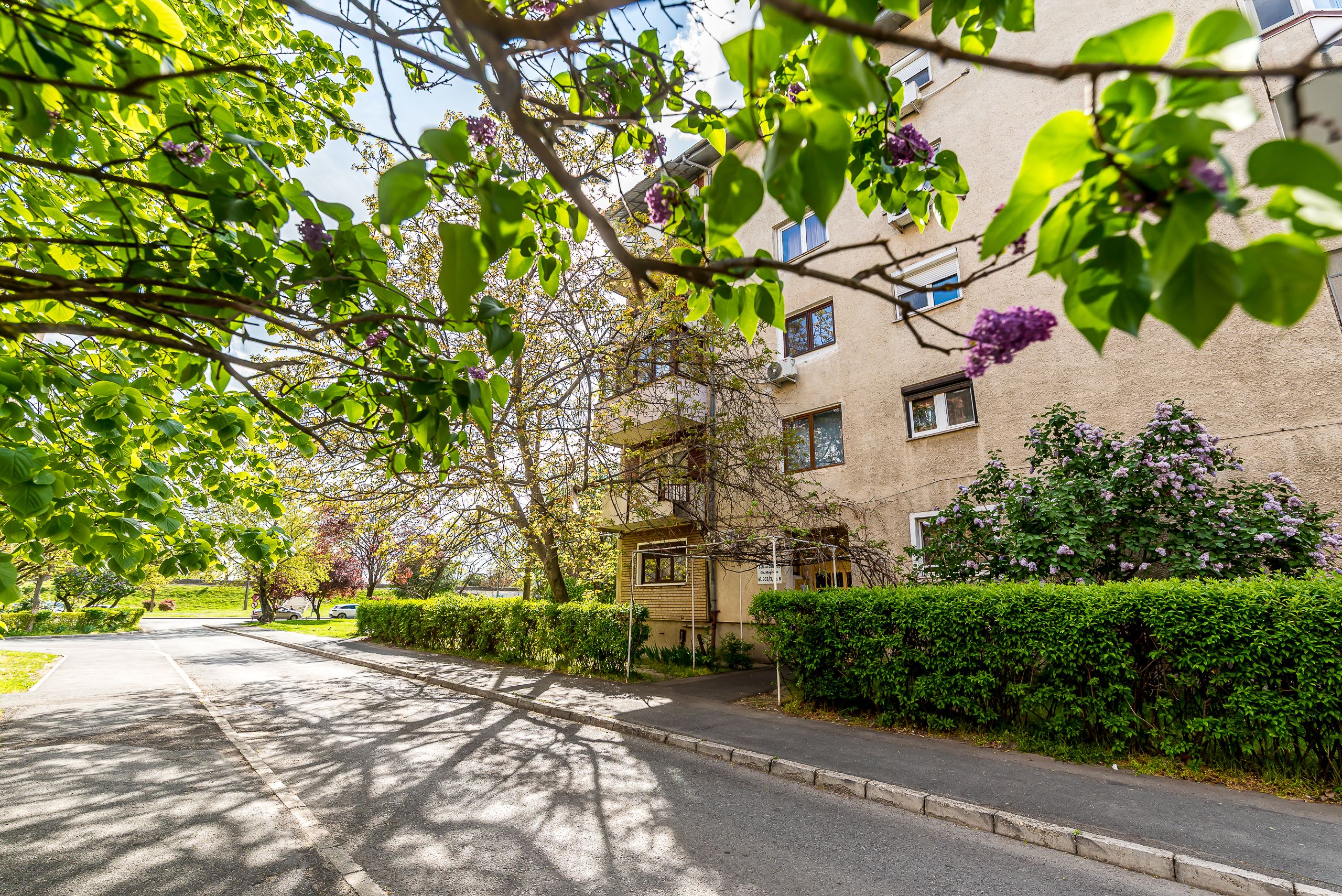 Apartament 3 camere Micalaca 300. Vedere superbă spre Mureș — fotografia 11