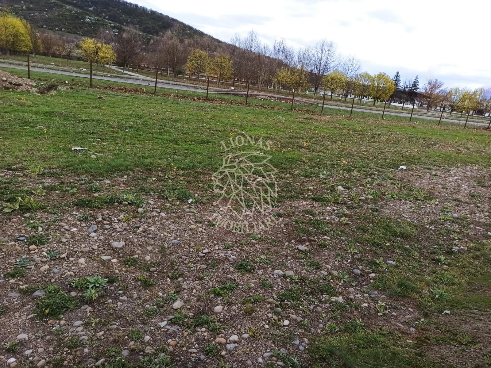 Teren intravilan 1000 mp-ideal locuinte P+4/Hala/Institutii-Viisoara