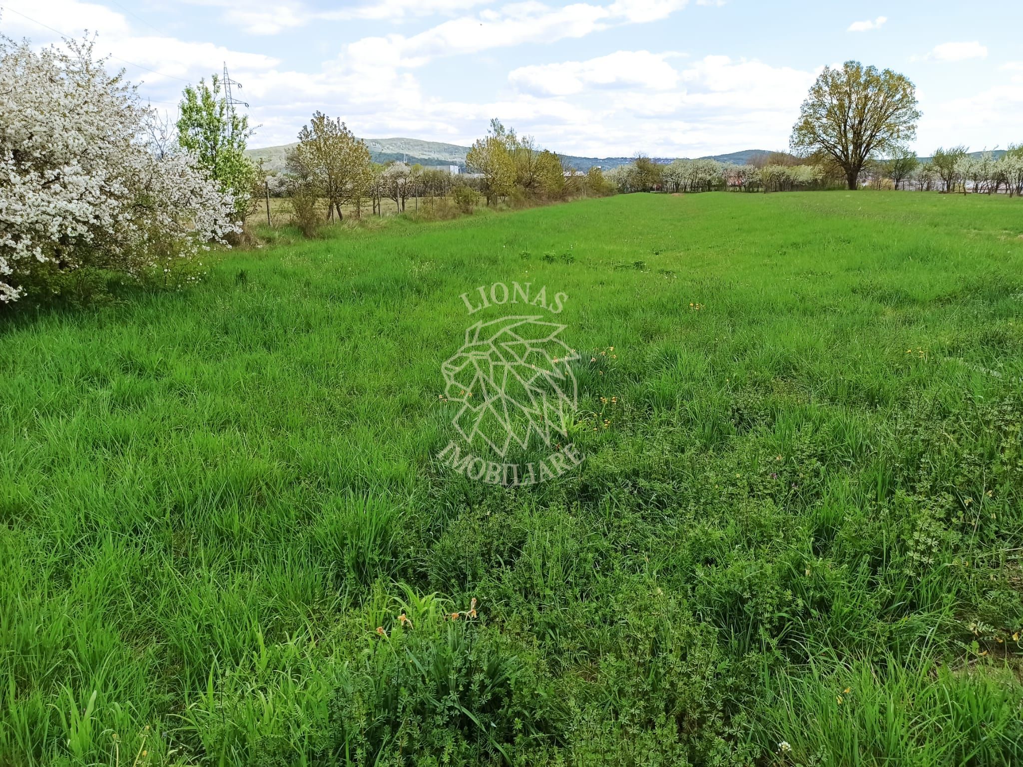 Teren intravilan 2515 mp cu utilitati- Zona Valea Castailor