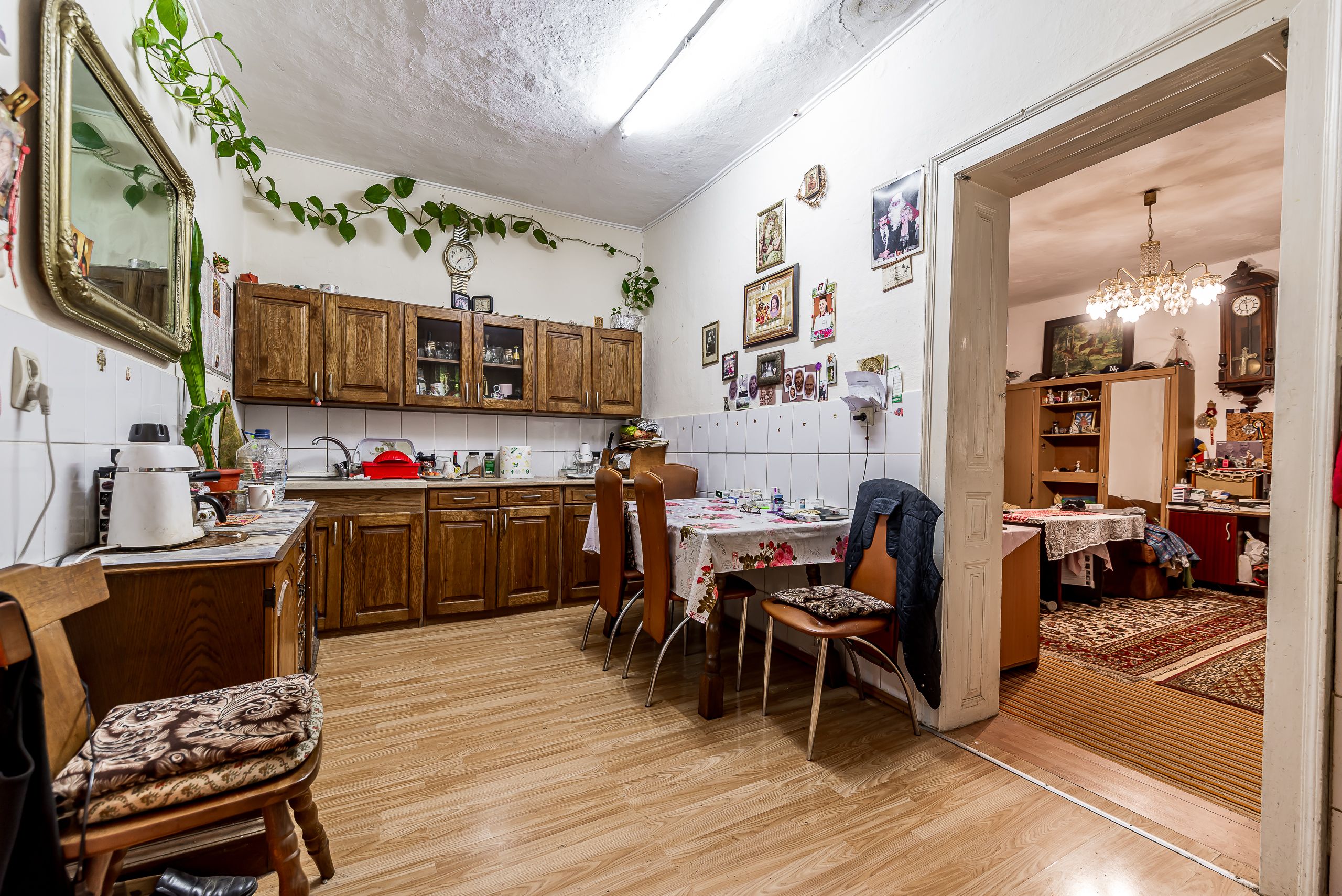 🏡 Casă nemțească autentică în Frumușeni – Fântânele, la 20 km de Arad — fotografia 6