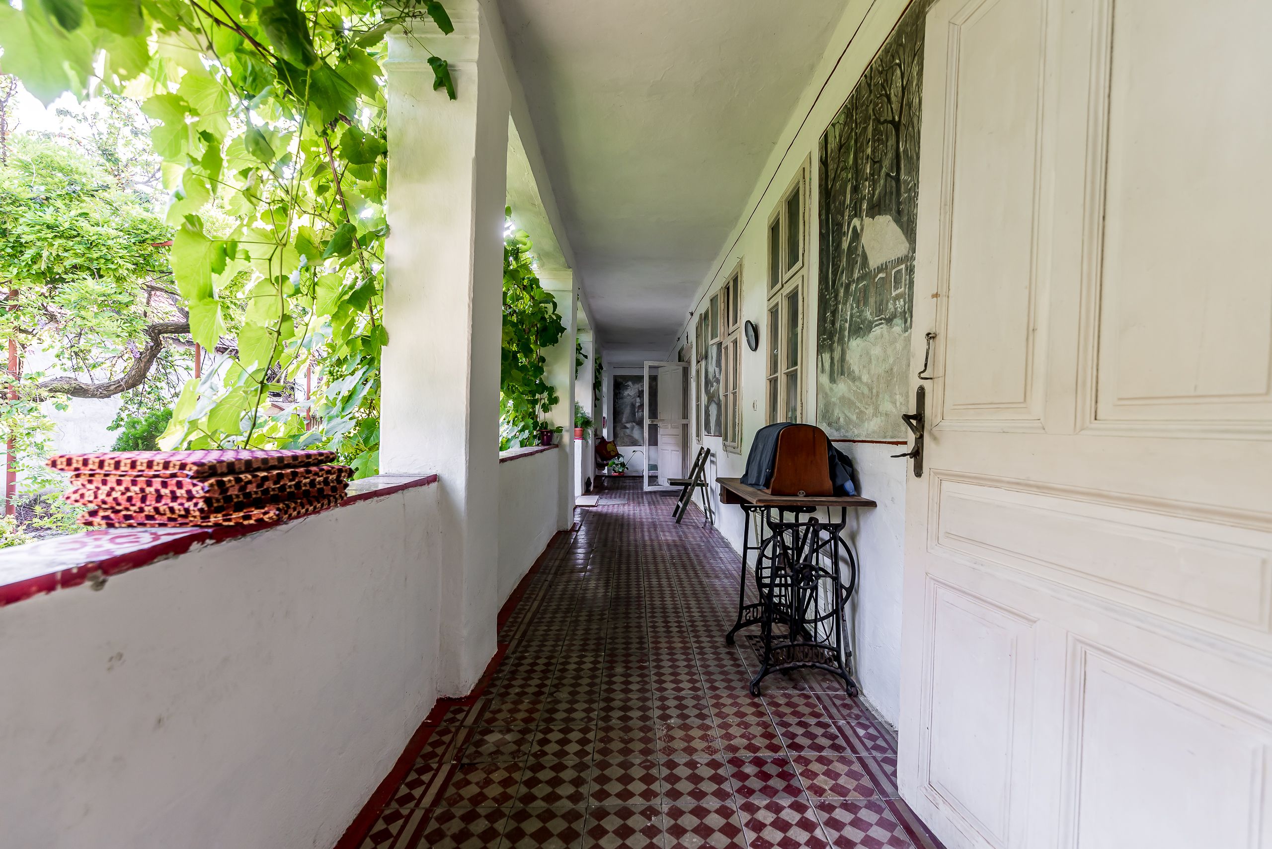 🏡 Casă nemțească autentică în Frumușeni – Fântânele, la 20 km de Arad — fotografia 9