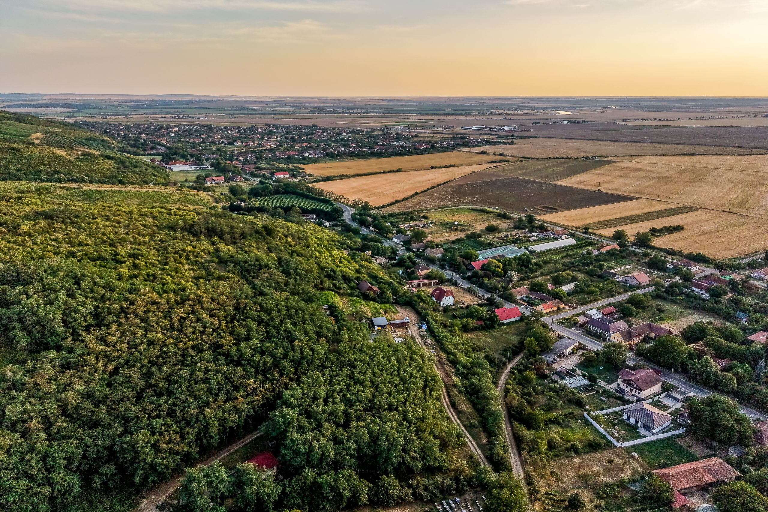Teren pe deal, 1.150 mp, în Miniș, front 26 m, Drumul Vinului — fotografia 2