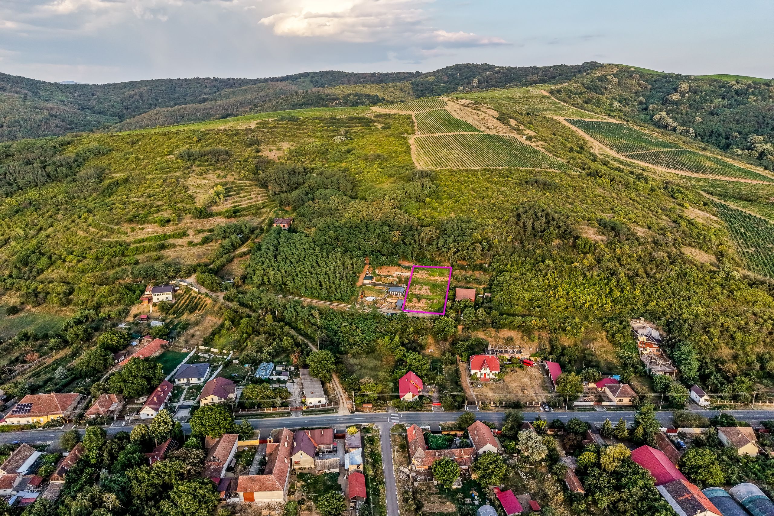 Teren pe deal, 1.150 mp, în Miniș, front 26 m, Drumul Vinului — fotografia 3
