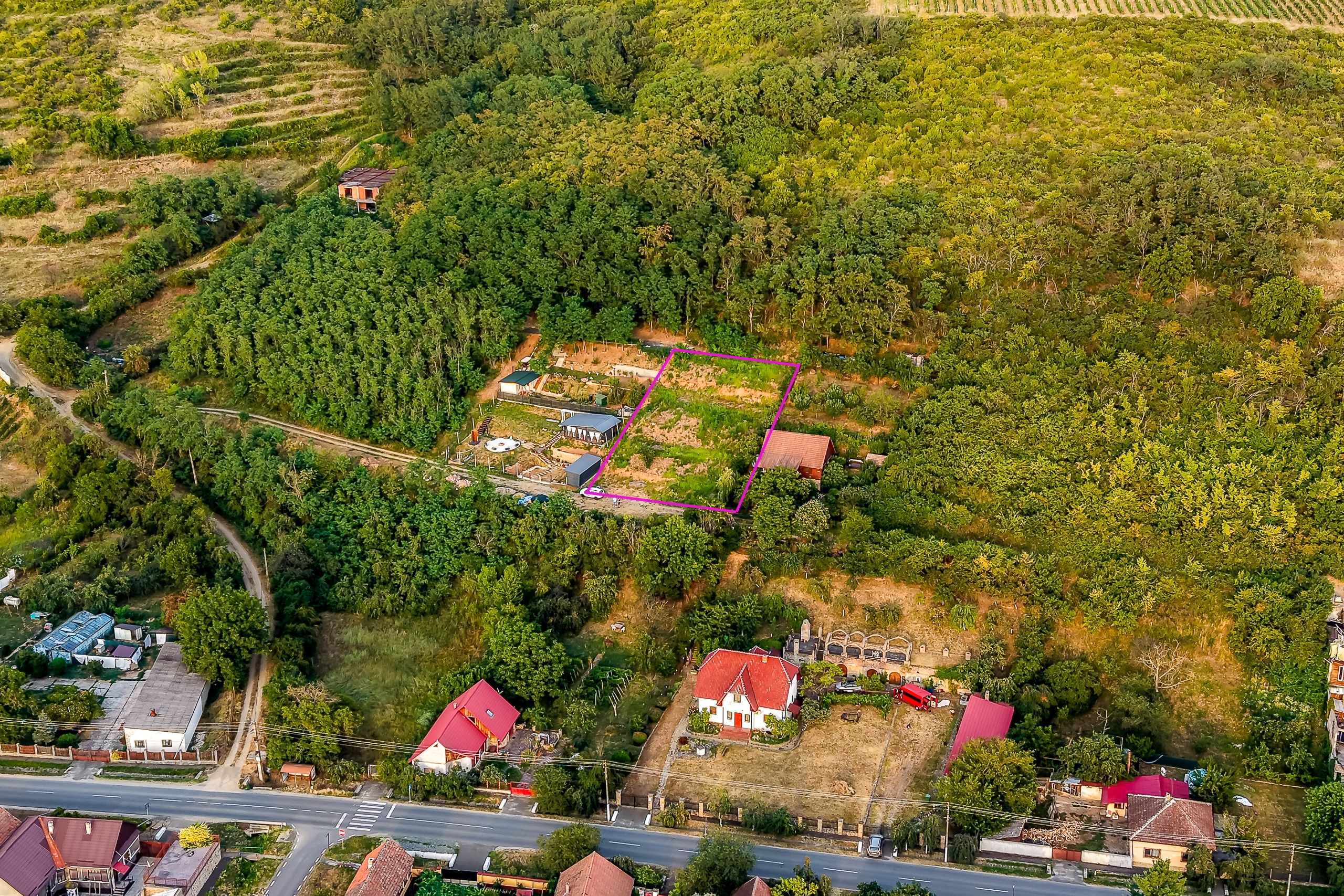 Teren pe deal, 1.150 mp, în Miniș, front 26 m, Drumul Vinului — fotografia 5
