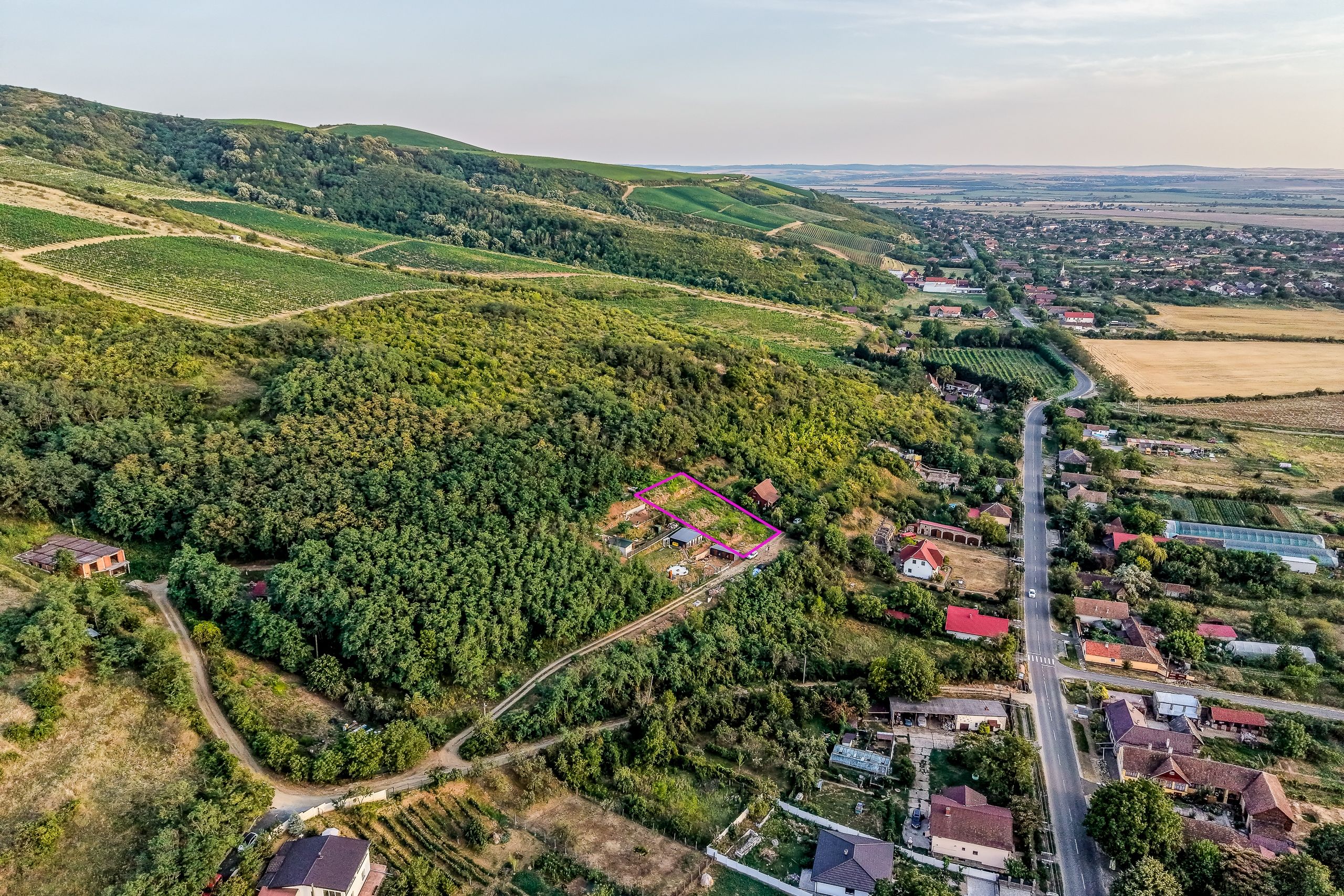 Teren pe deal, 1.150 mp, în Miniș, front 26 m, Drumul Vinului — fotografia 4