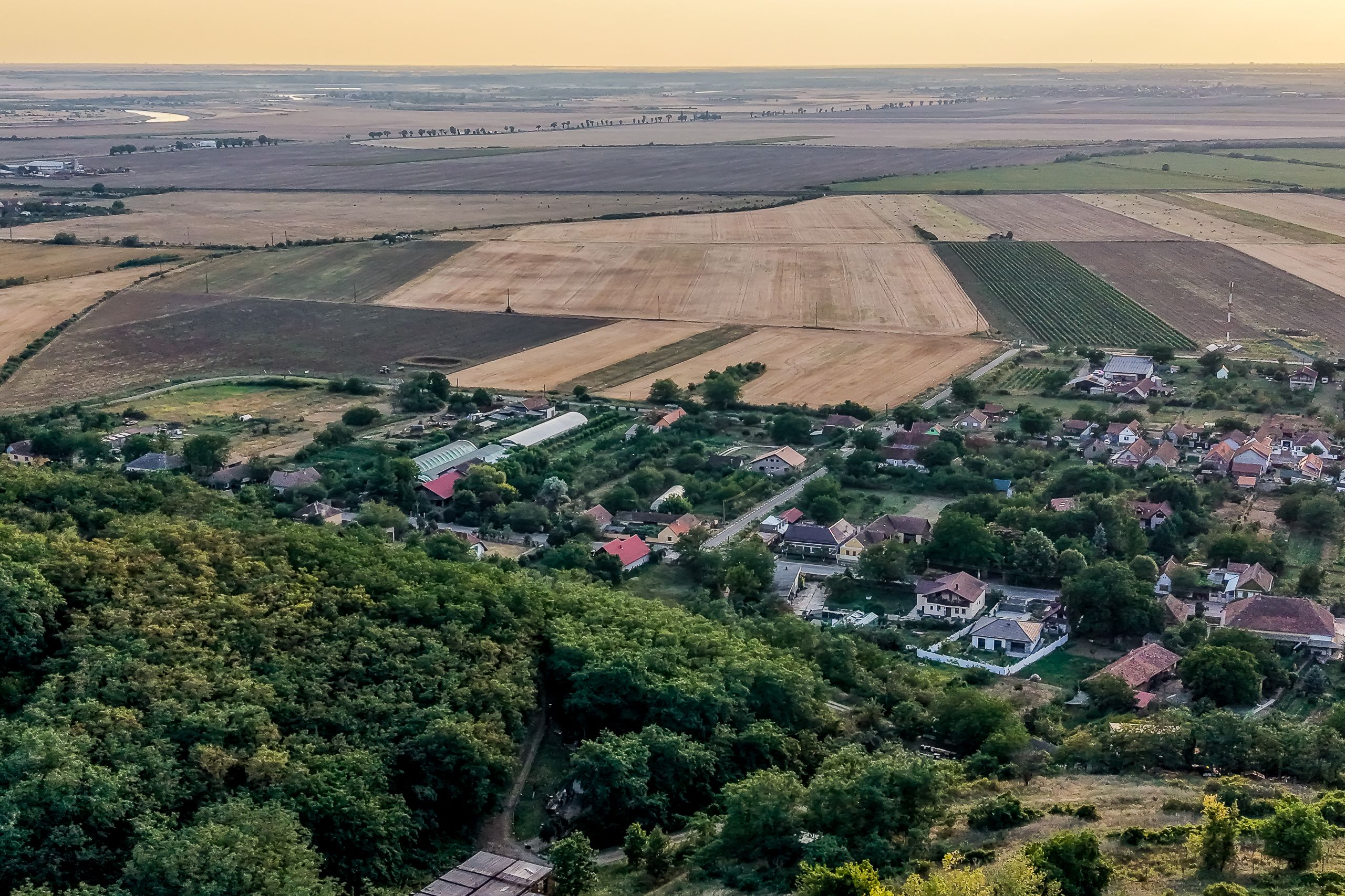 Teren pe deal, 1.150 mp, în Miniș, front 26 m, Drumul Vinului — fotografia 8