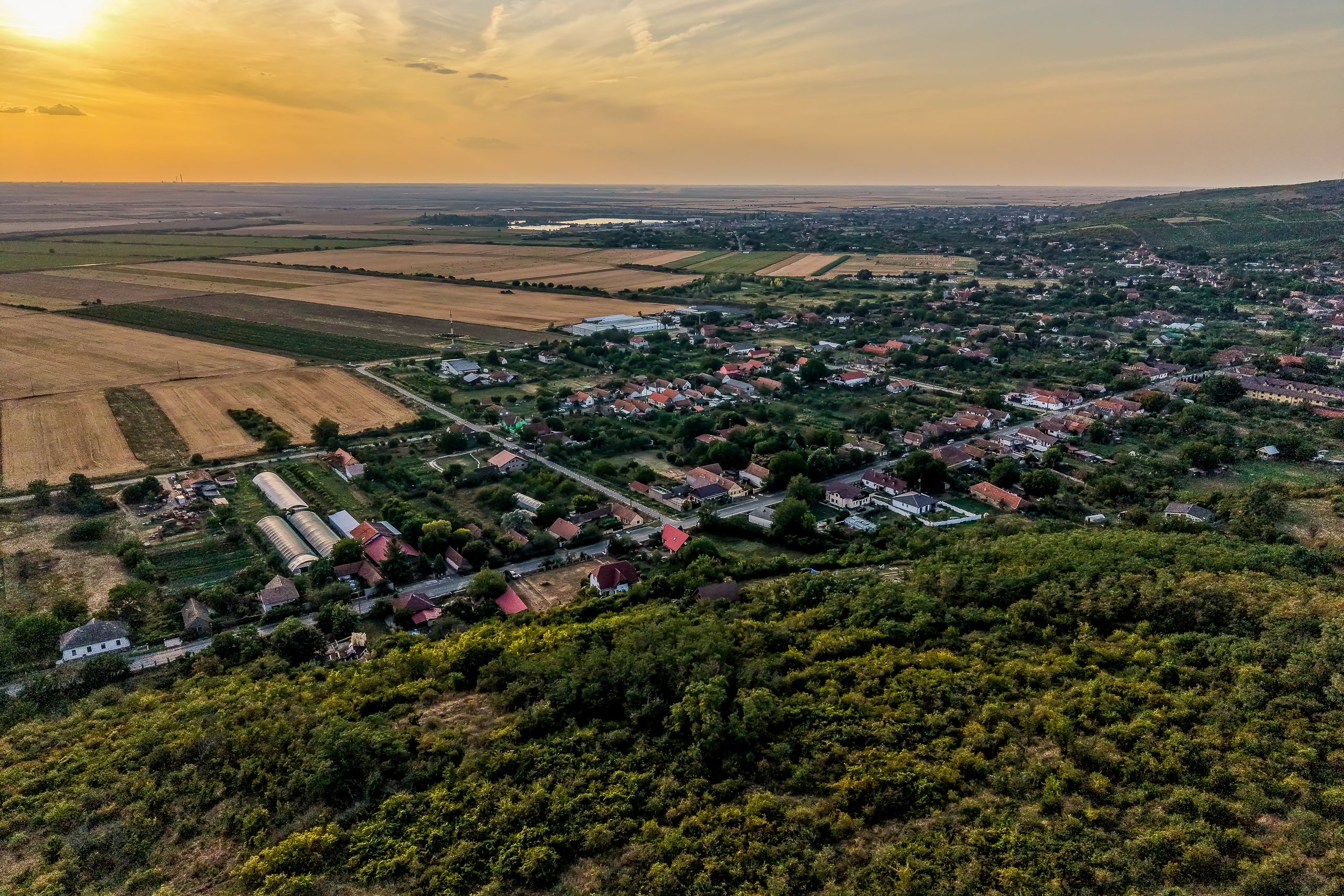 Teren pe deal, 1.150 mp, în Miniș, front 26 m, Drumul Vinului — fotografia 9