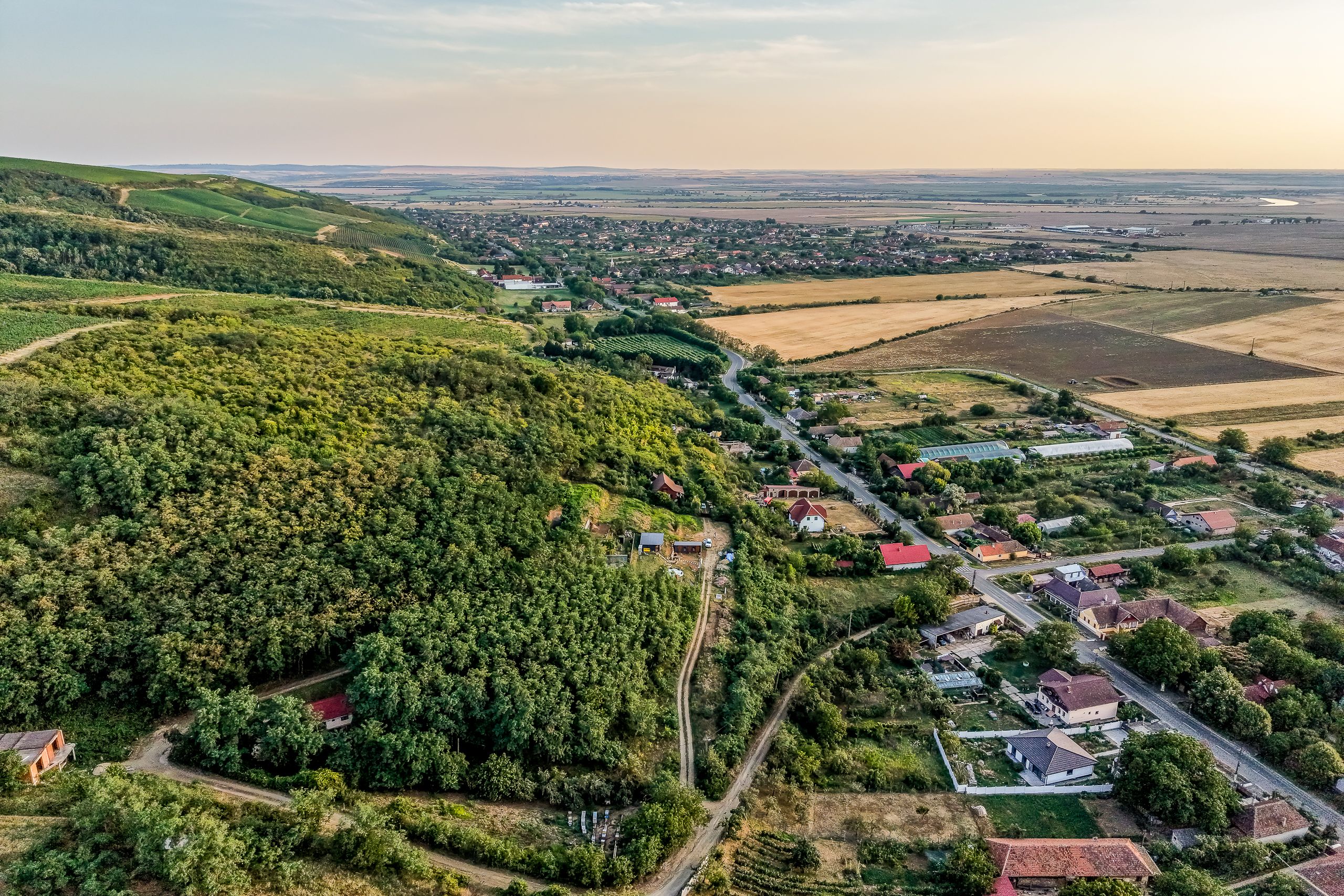 Teren pe deal, 1.150 mp, în Miniș, front 26 m, Drumul Vinului — fotografia 10