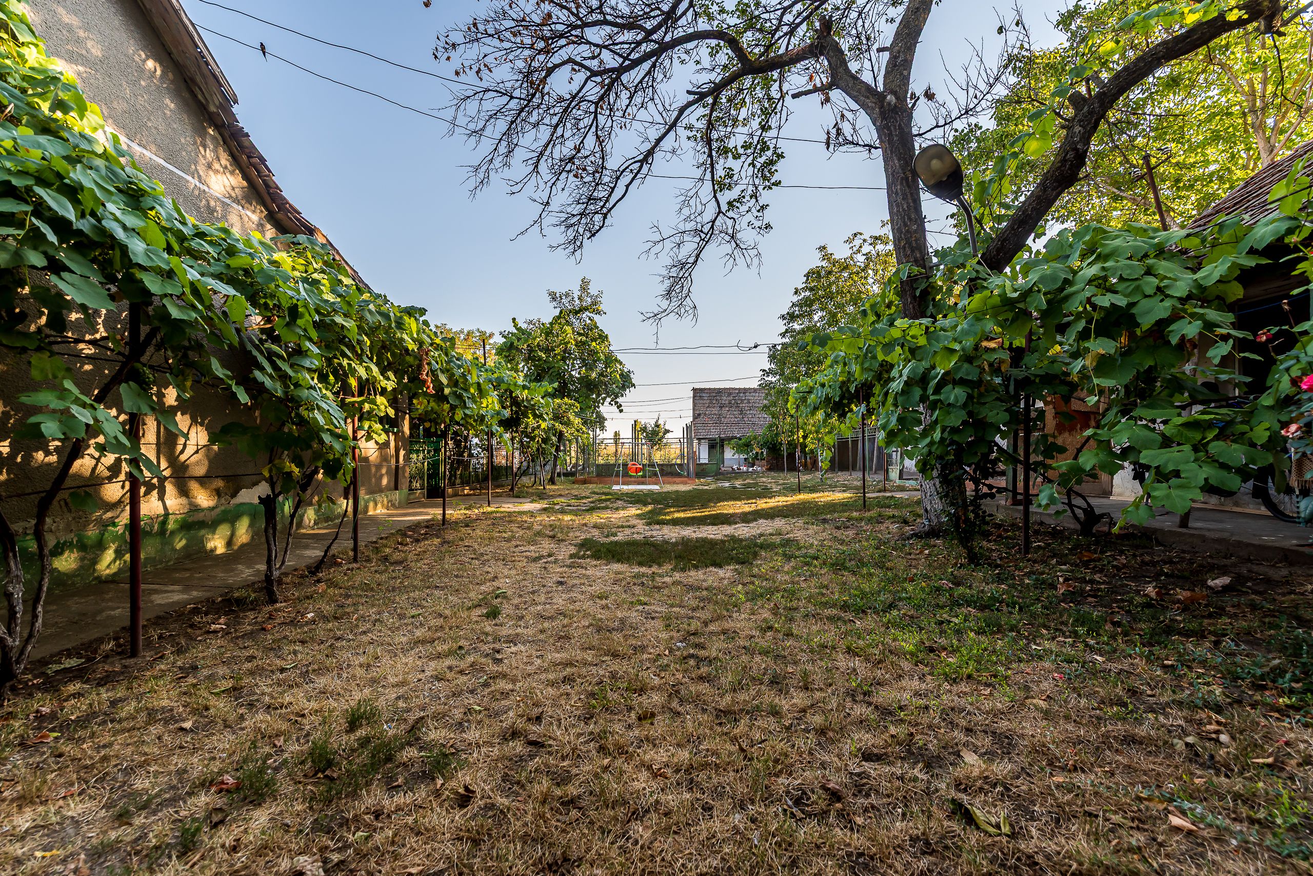 Casă cu teren 3.950 mp | Dorobanți | 63.500 € negociabil — fotografia 3