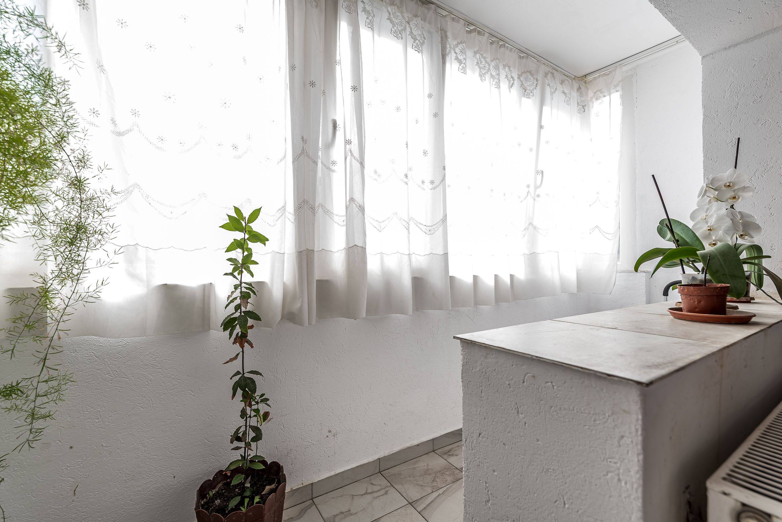 Apartament cu 3 camere decomandat la parter in Confectii Comision 0% — fotografia 8