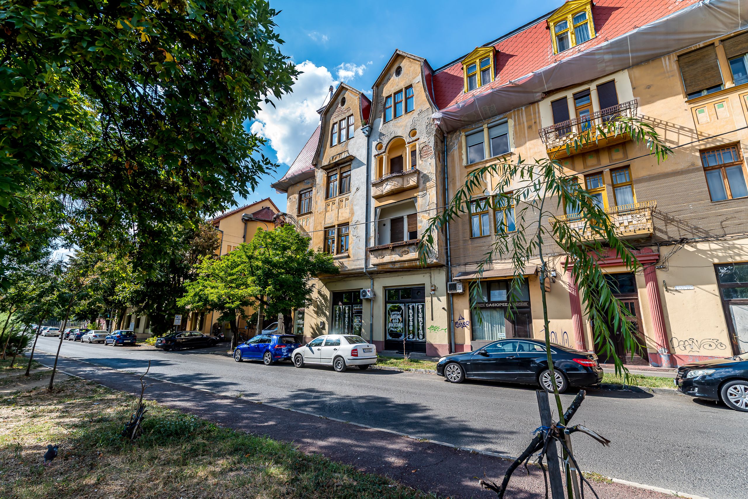 3 camere în Palatul Gemeinhardt, pe malul Begăi | Timișoara — fotografia 4