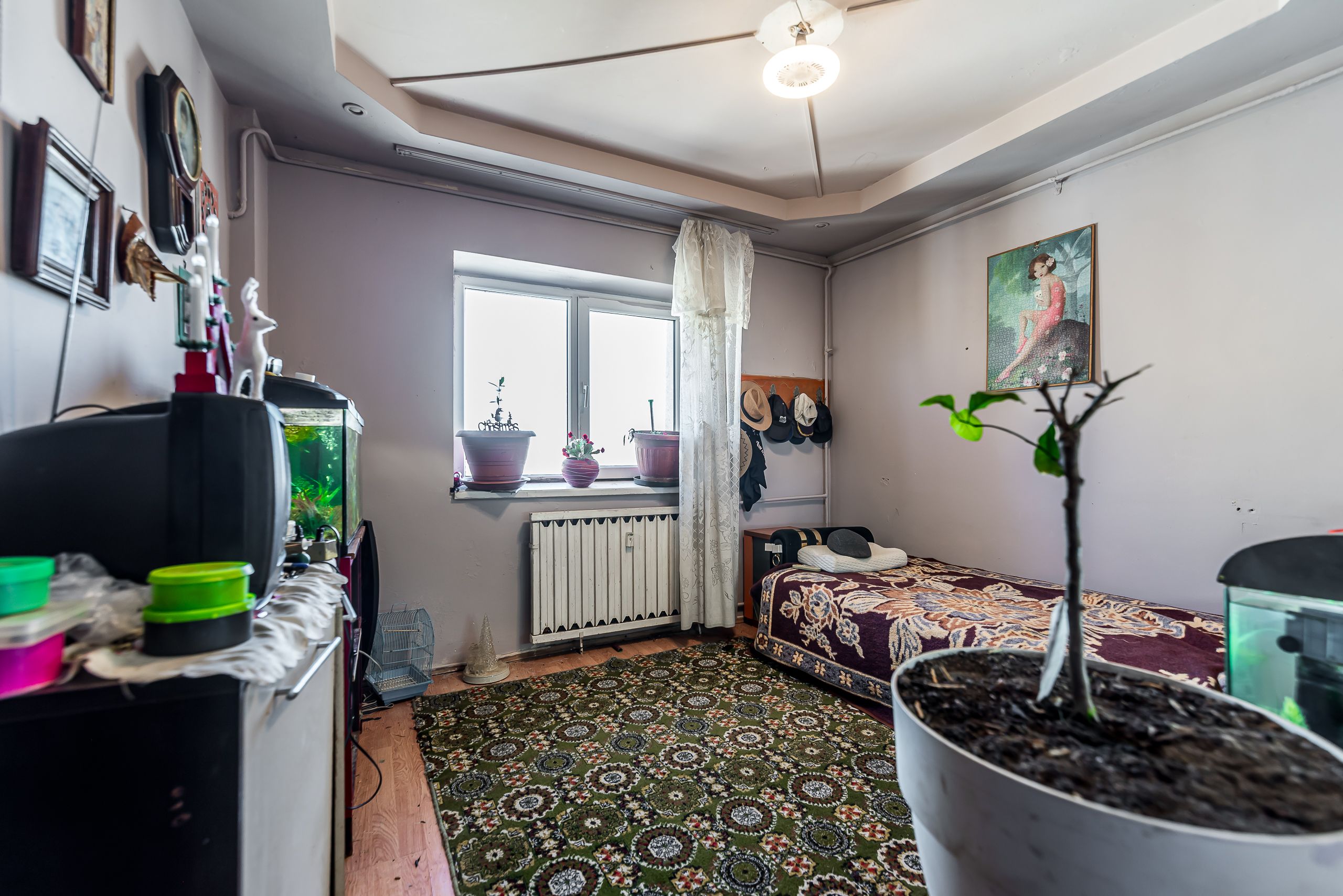 Apartament cu 5 camere pe Splaiul General Gheorghe Magheru, Micălaca — fotografia 11