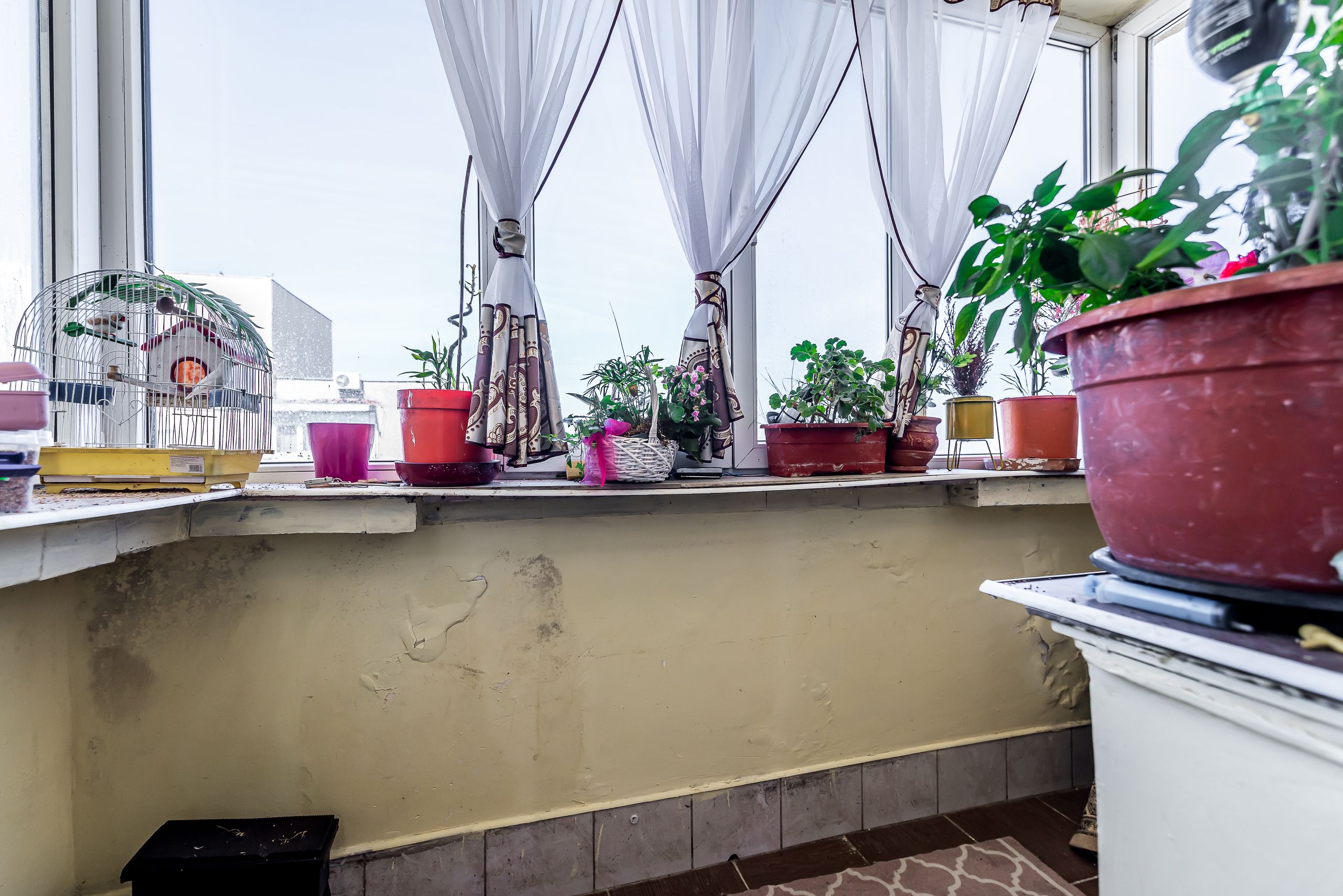 Imagine 21 - Apartament cu 5 camere pe Splaiul General Gheorghe Magheru, Micălaca