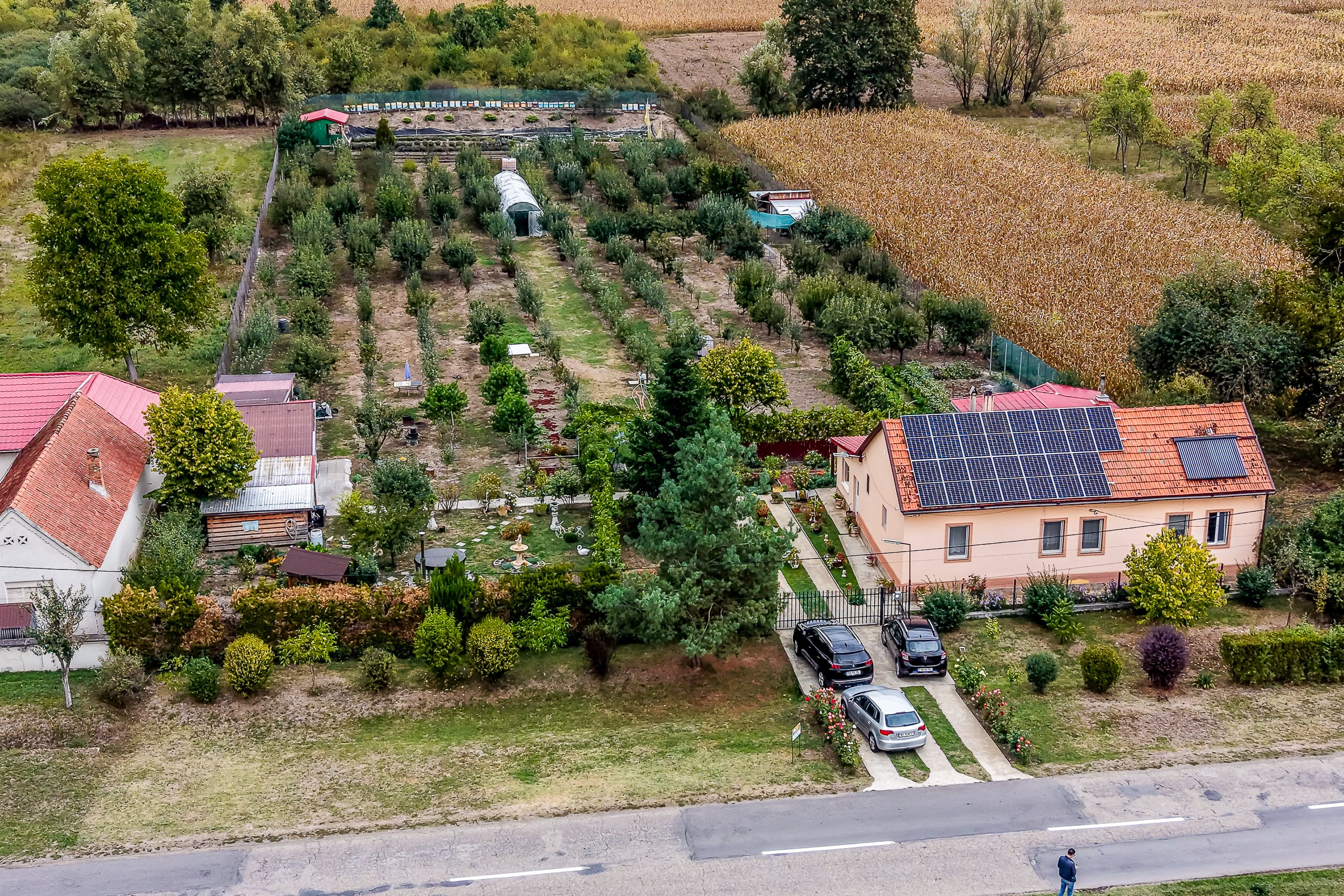 🏡 Mai mult decât o casă: libertatea de a trăi aproape de natură — fotografia 2