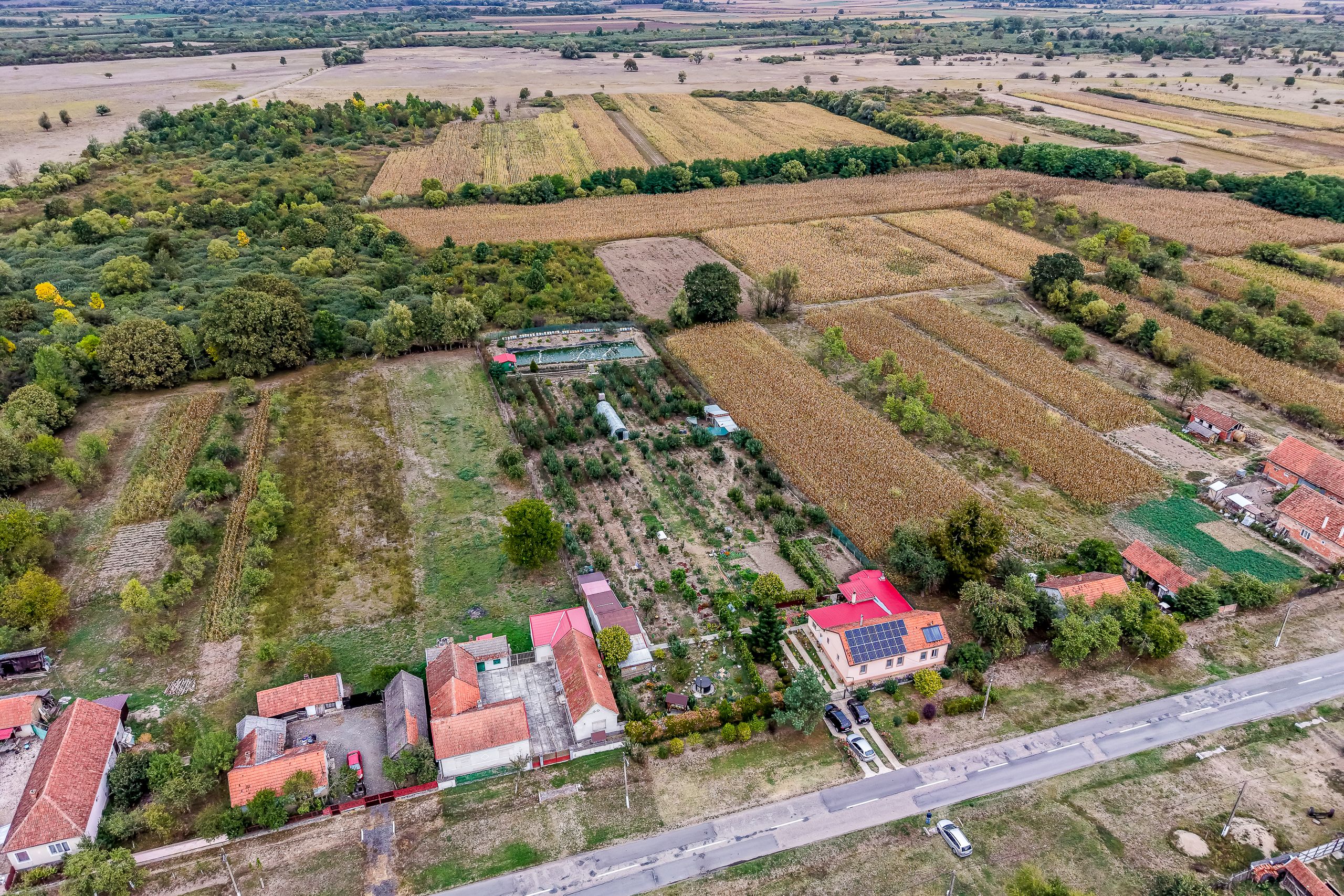 🏡 Mai mult decât o casă: libertatea de a trăi aproape de natură — fotografia 3