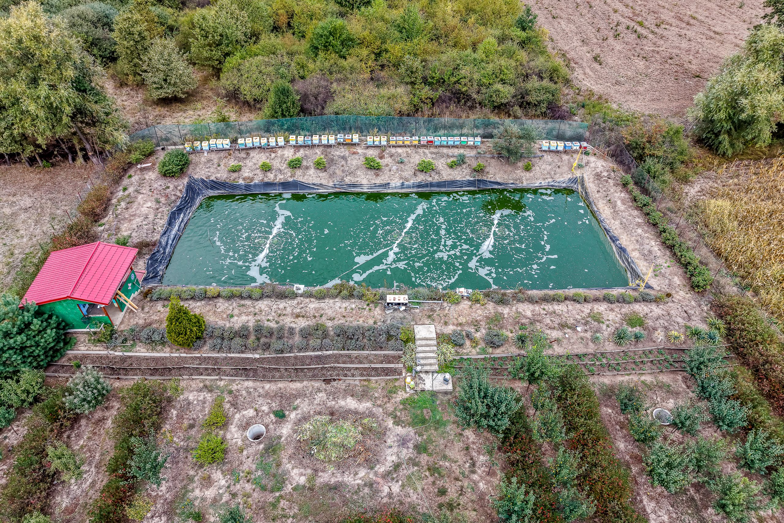 🏡 Mai mult decât o casă: libertatea de a trăi aproape de natură — fotografia 4