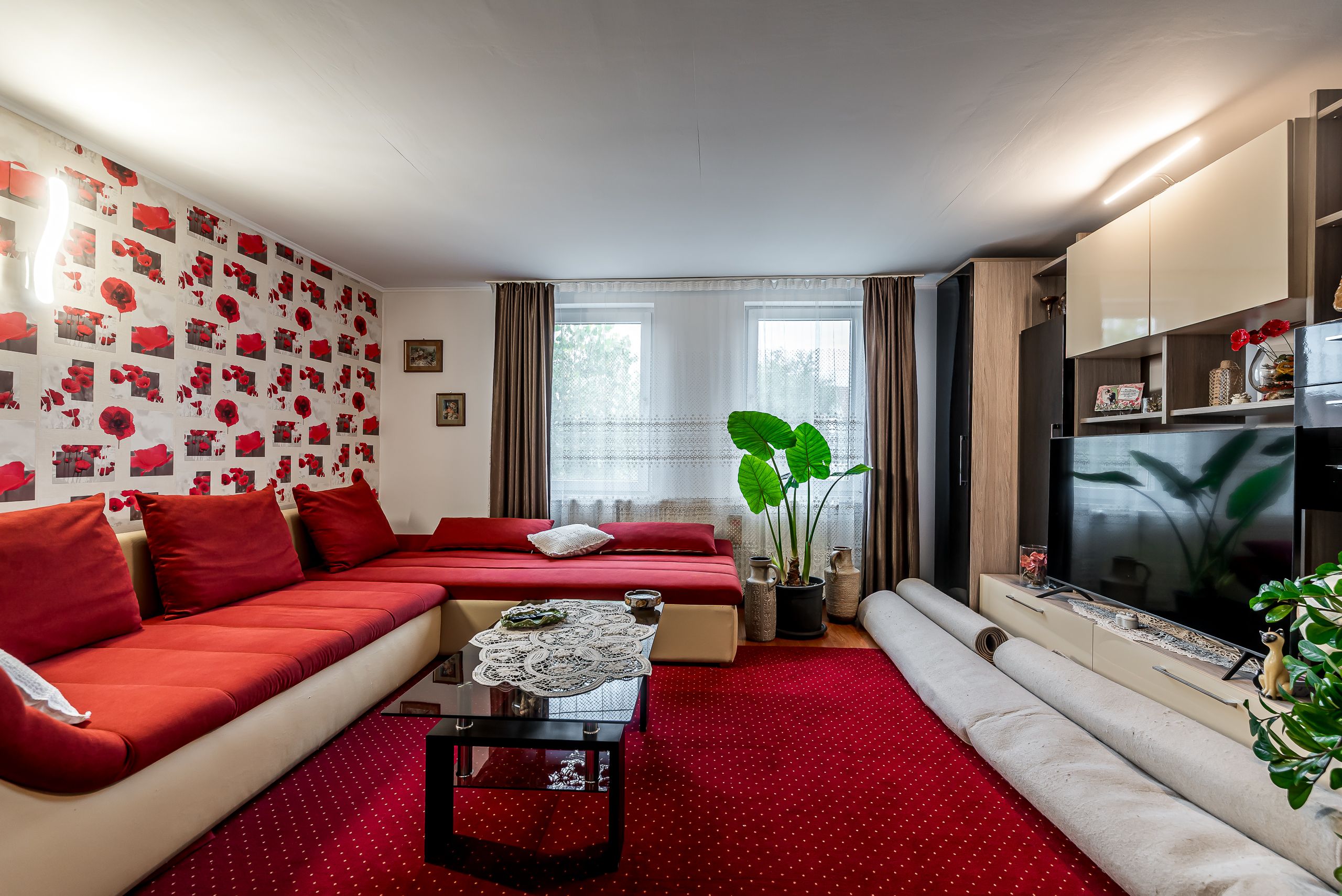 🏡 Mai mult decât o casă: libertatea de a trăi aproape de natură — fotografia 10