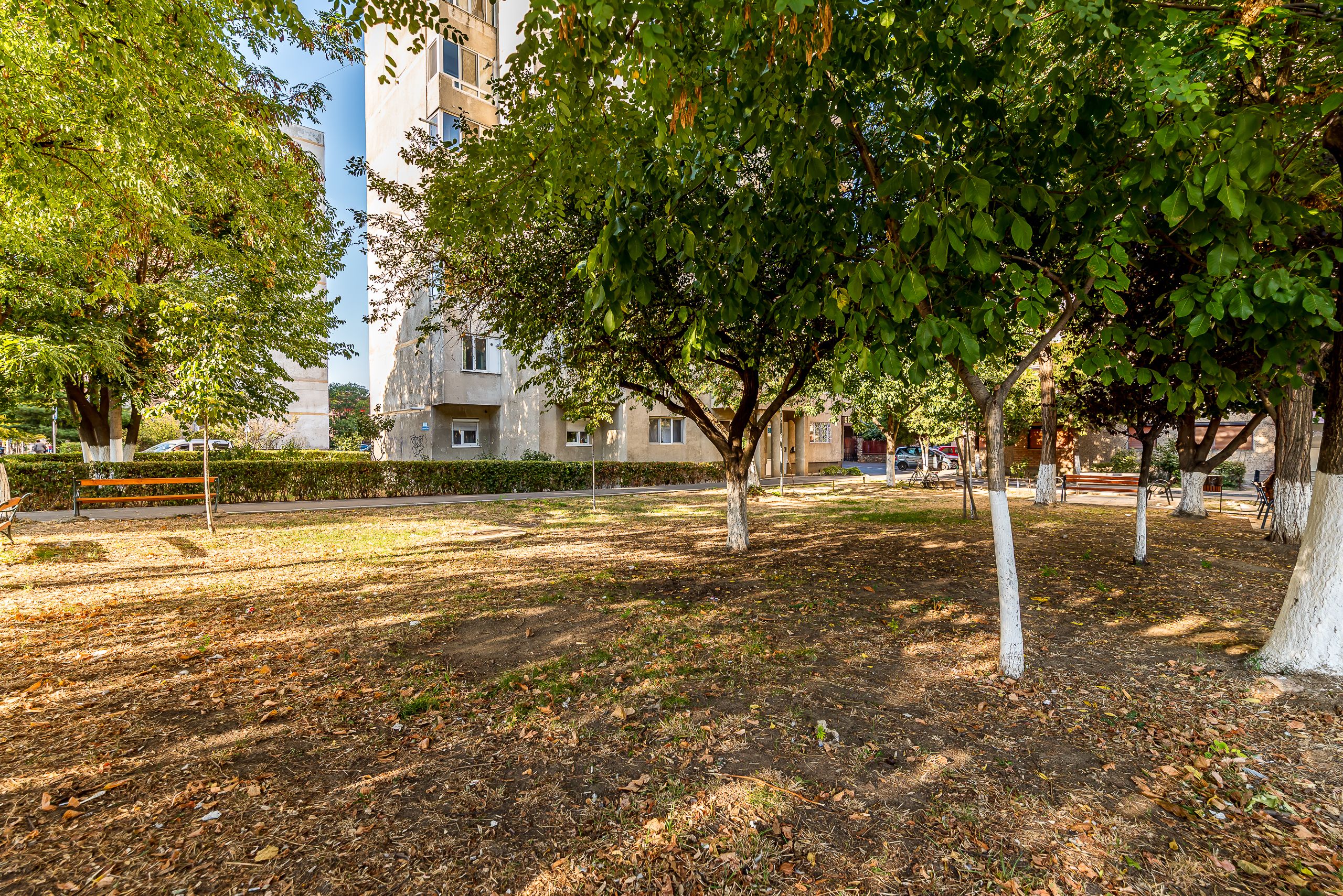 Imagine 13 - 🏡 3 camere, 2 băi, parter – Aurel Vlaicu | 79.000 €