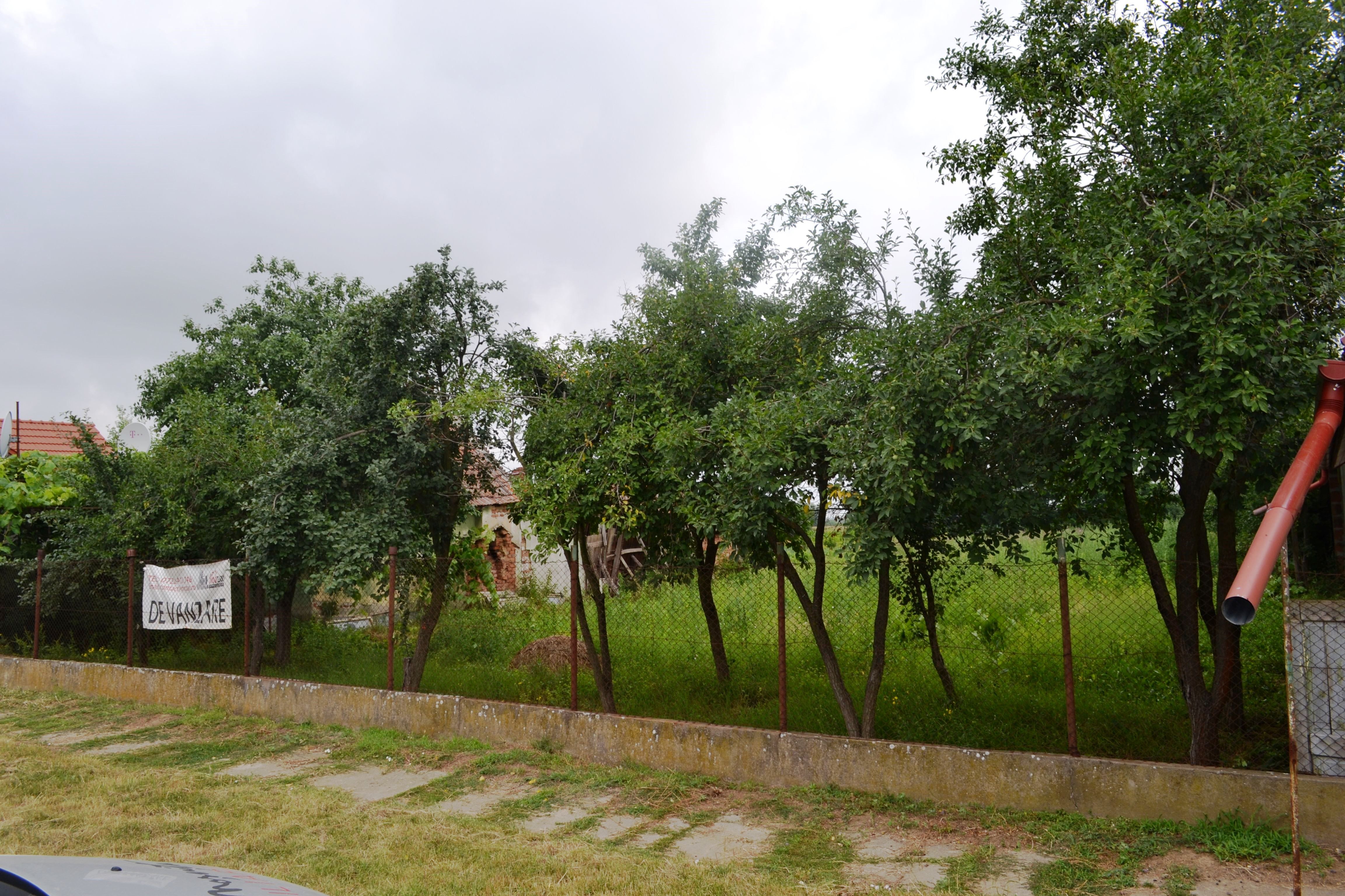 Mosnita Imobiliare