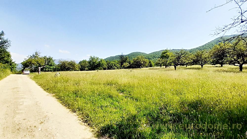 Teren superb in Bran la 5 min de Castel, 37 euro/mp. - foto 4