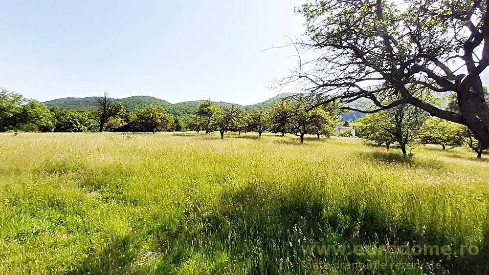 Teren superb in Bran la 5 min de Castel, 37 euro/mp. - foto 2