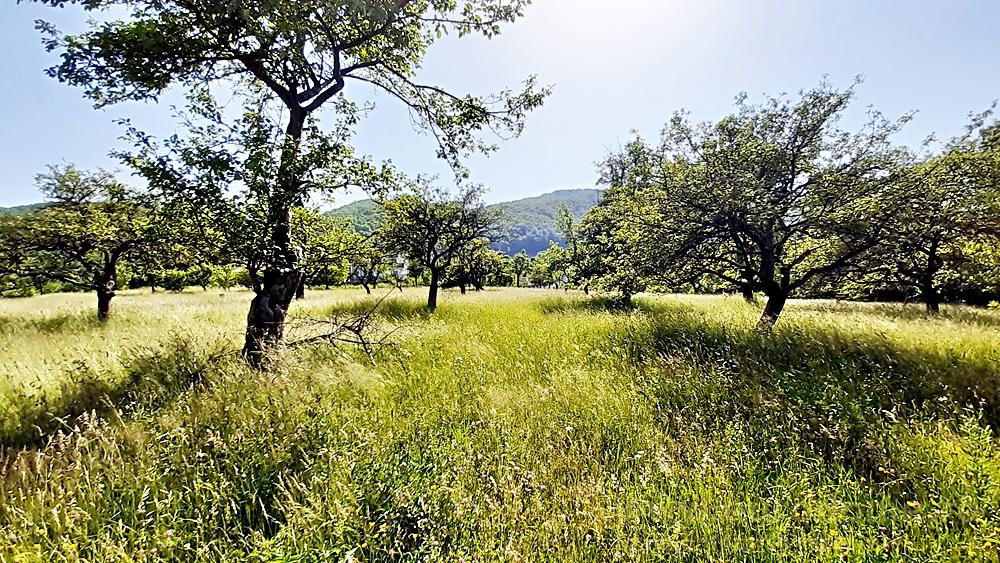 Teren superb in Bran la 5 min de Castel, 37 euro/mp. - Bran