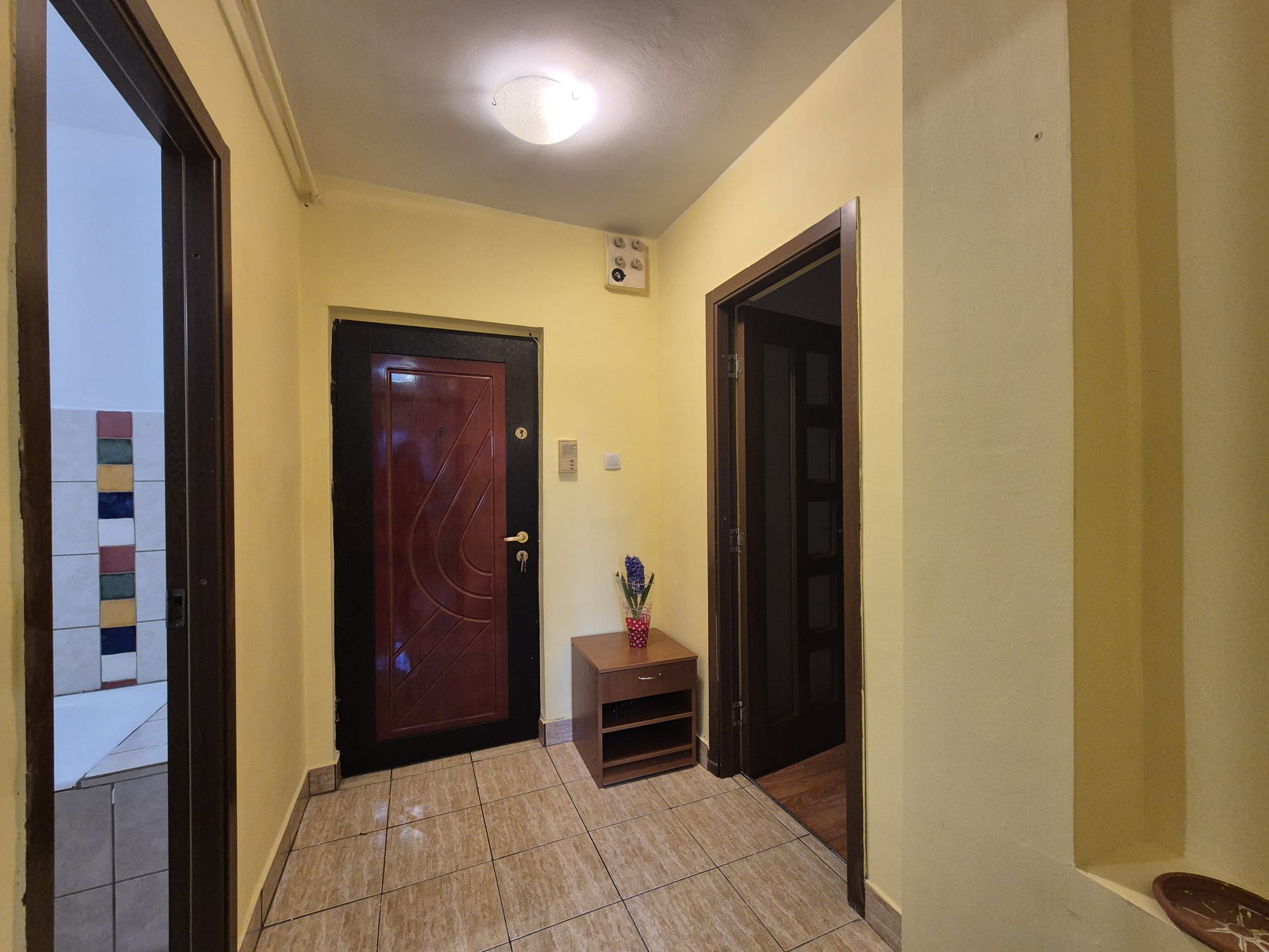 Vlahuta, garsoniera sectiune mare - foto 4