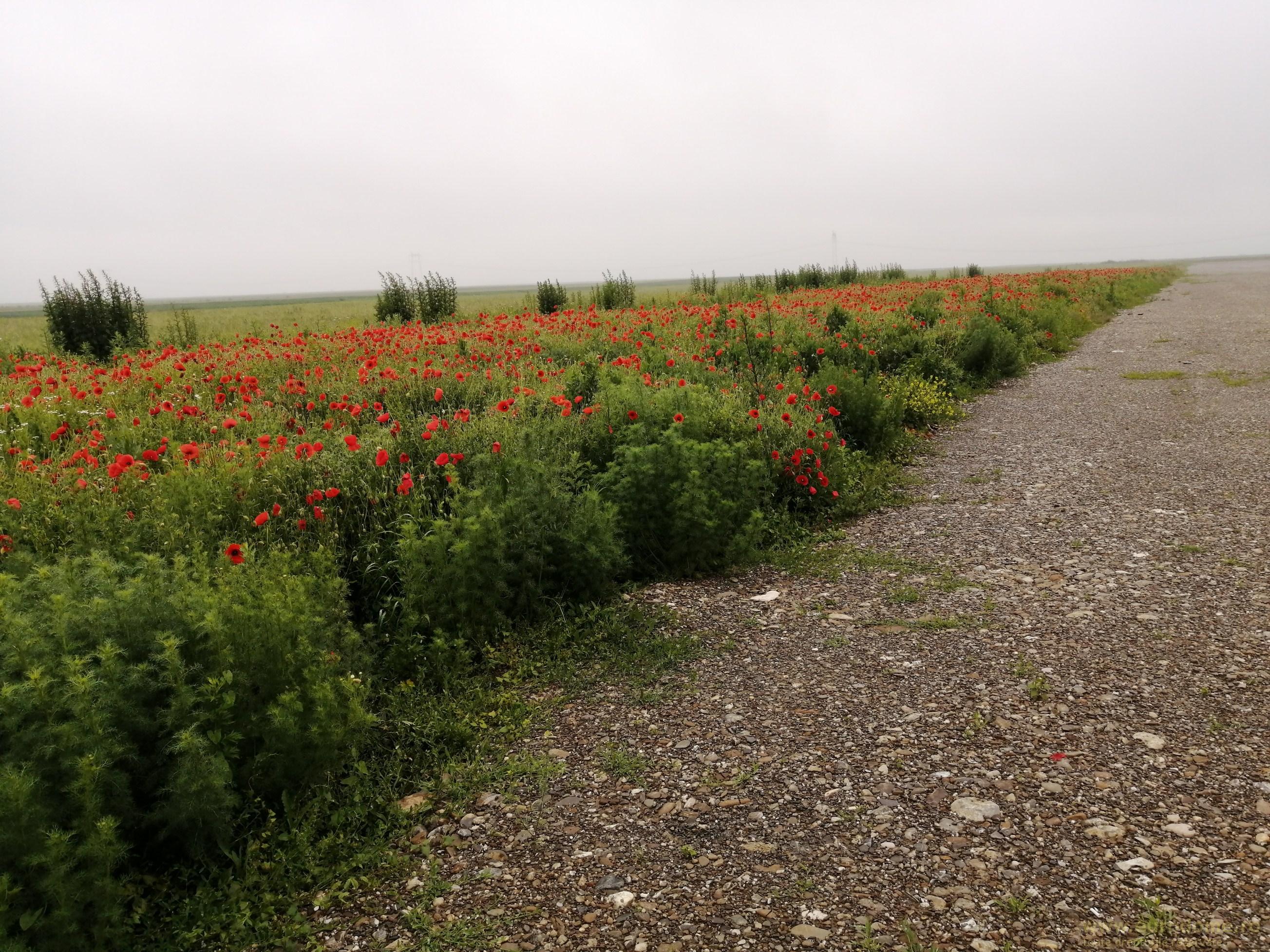 Teren la DN Brașov-Tărlungeni - foto 5