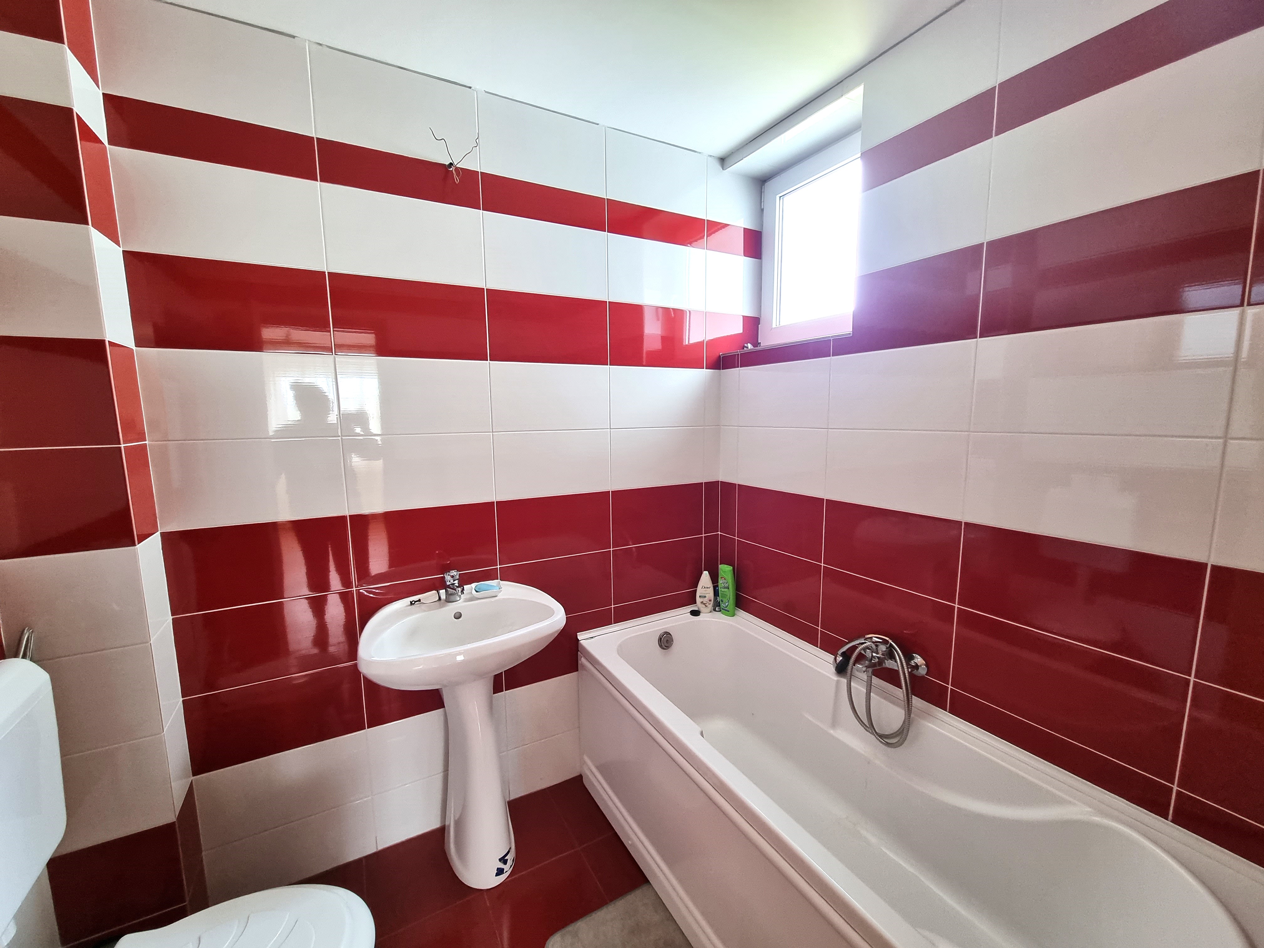 Apartament la vila 3 camere, garaj, Alba Micesti - foto 5