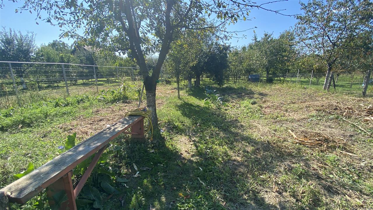 Casa Individuala Renovata cu 1600mp Teren - foto 4