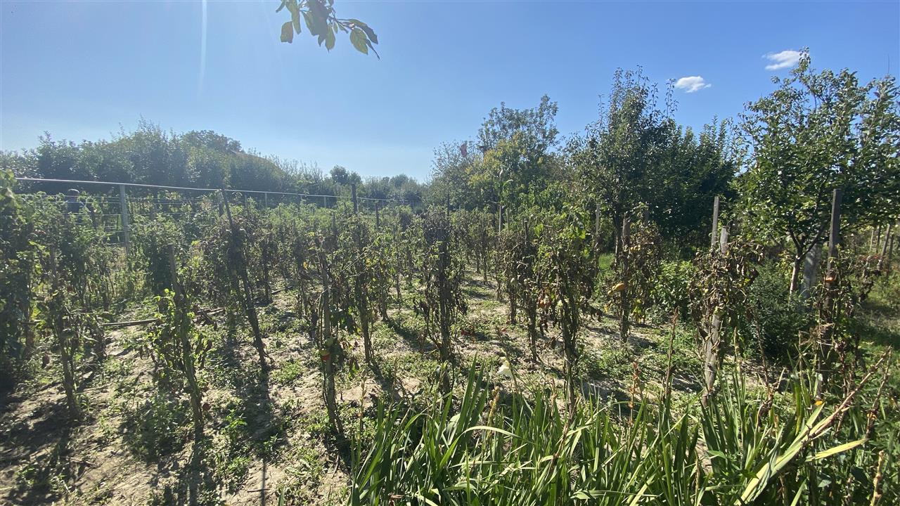 Casa Individuala Renovata cu 1600mp Teren - foto 3