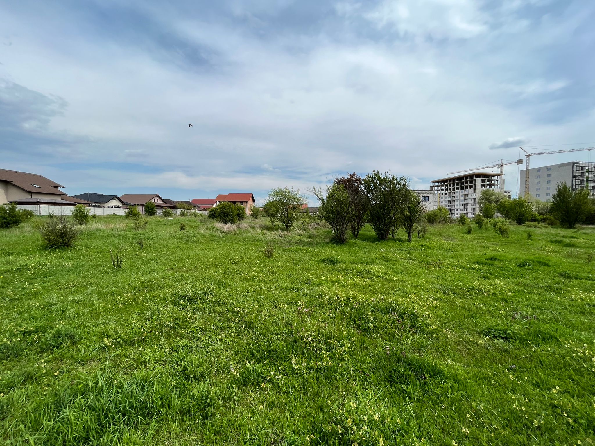 Teren de vanzare, 700MP,  in zona Ampoi 3 - foto 2