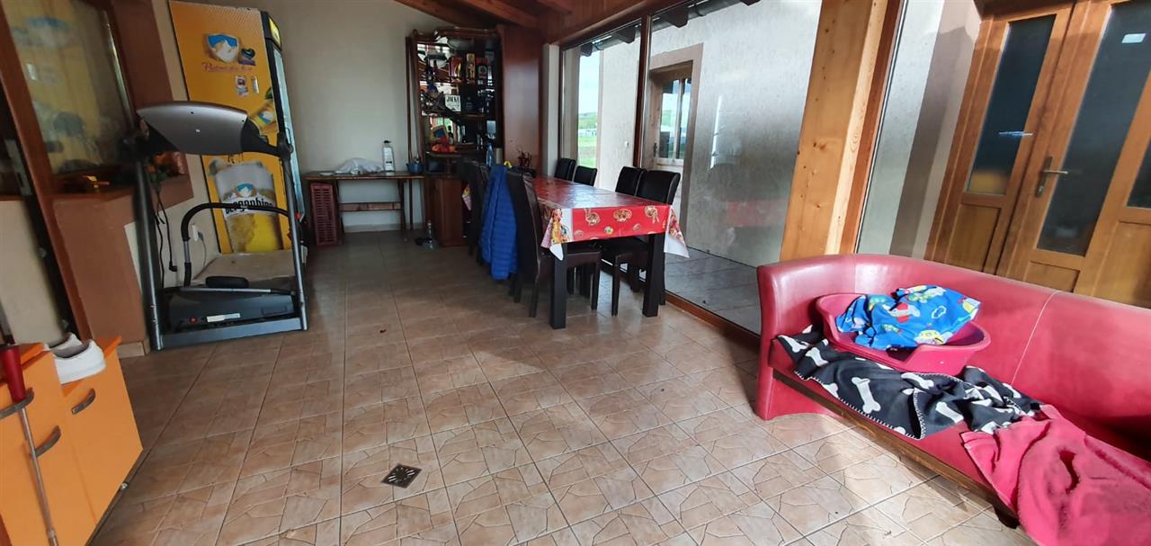 Casa de vanzare, 4 camere, 2 terase, garaj, 849 mp teren, Oarda de Jos - foto 5