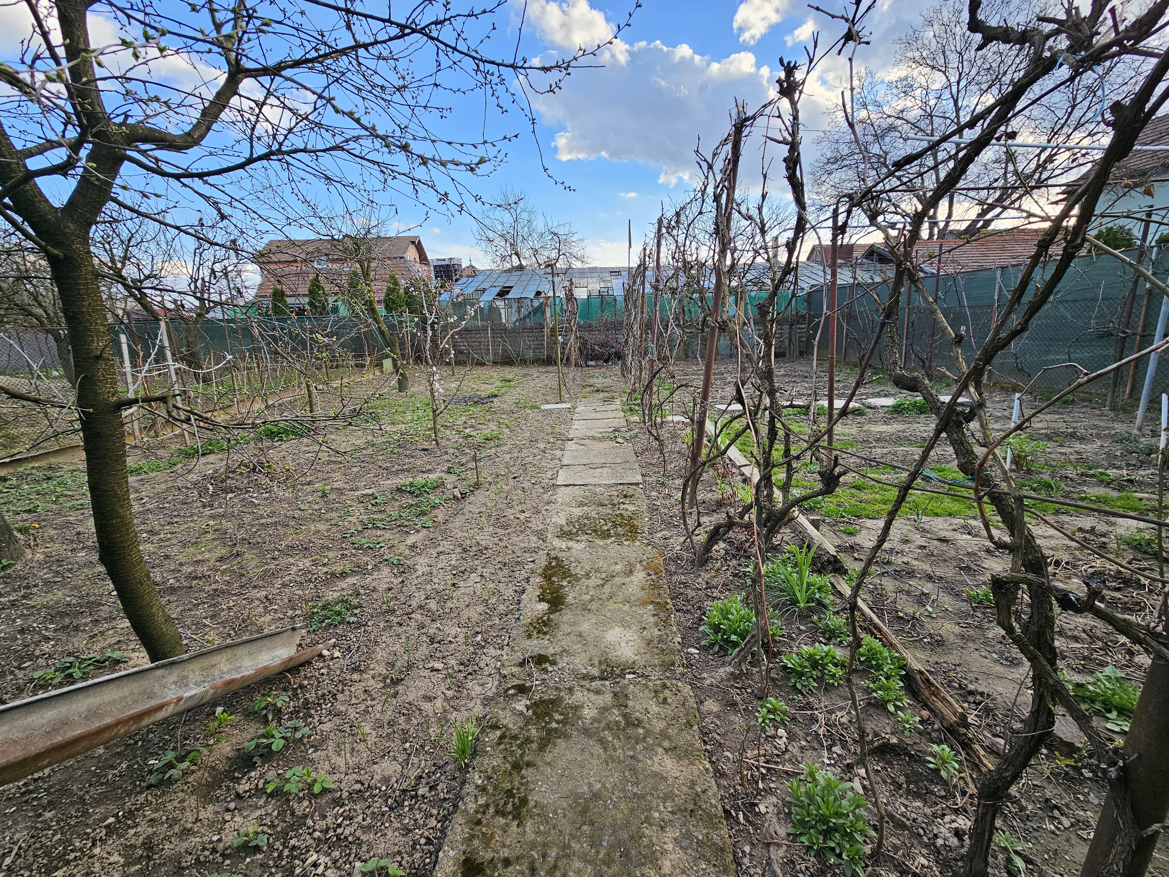 Casa 4 camere, 300 mp utili, 562 mp teren, zona Centru - foto 2