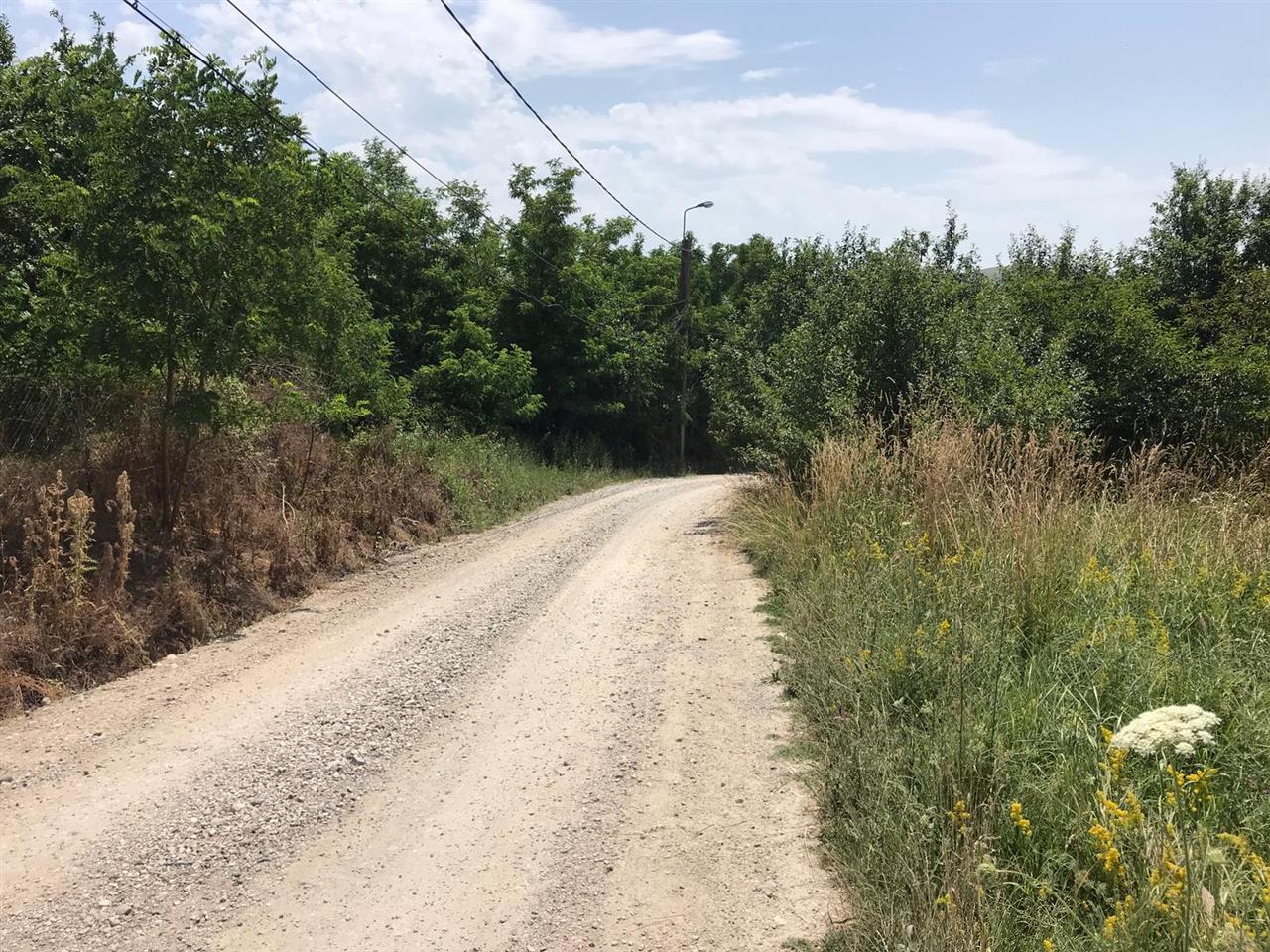 Teren De Vanzare, Zona Oarda de Sus, 2800MP - foto 2