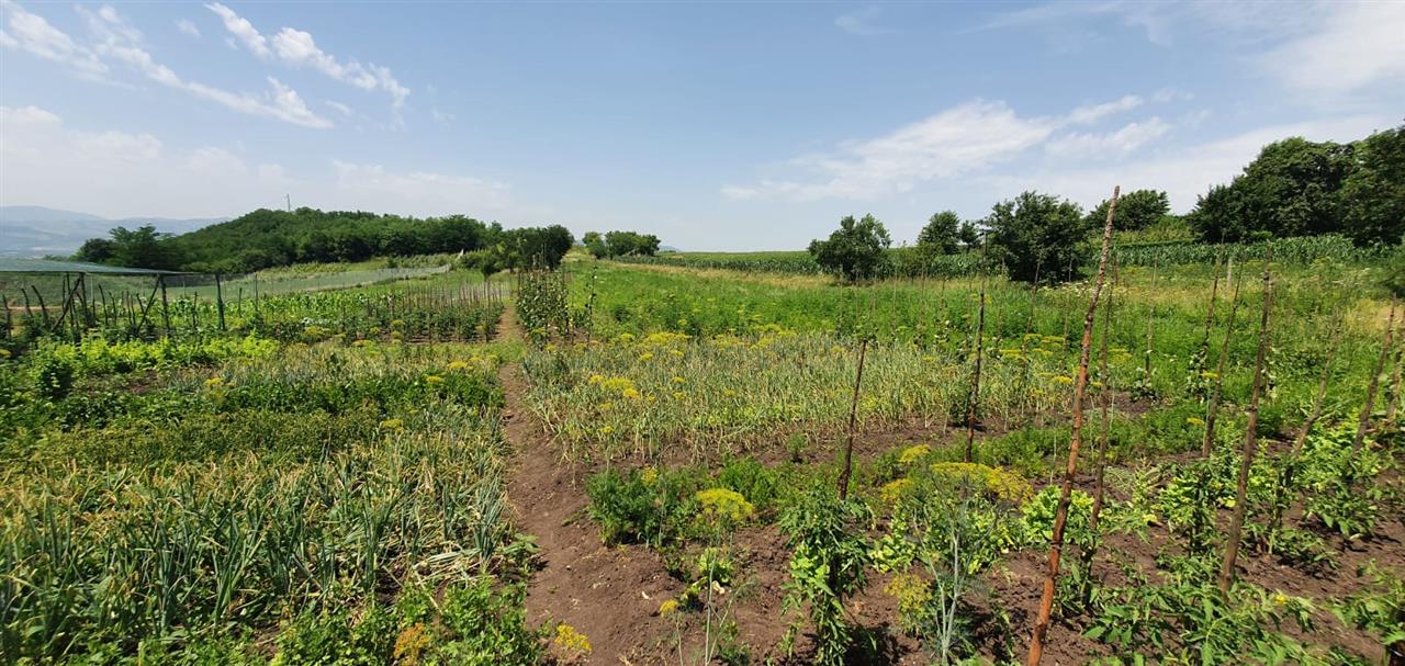 Teren De Vanzare, Zona Oarda de Sus, 2800MP - Oarda