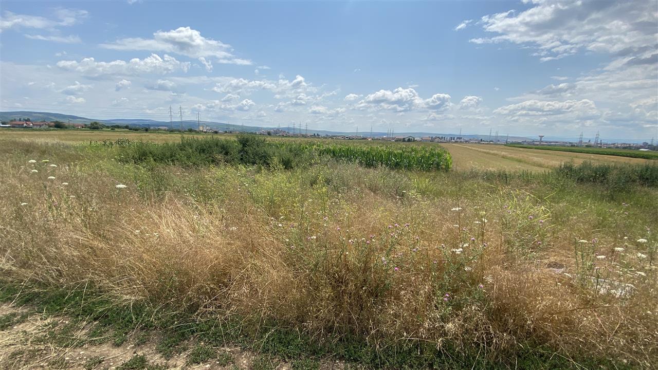 Teren de vanzare zona Orizont 5859 mp - Alba Iulia