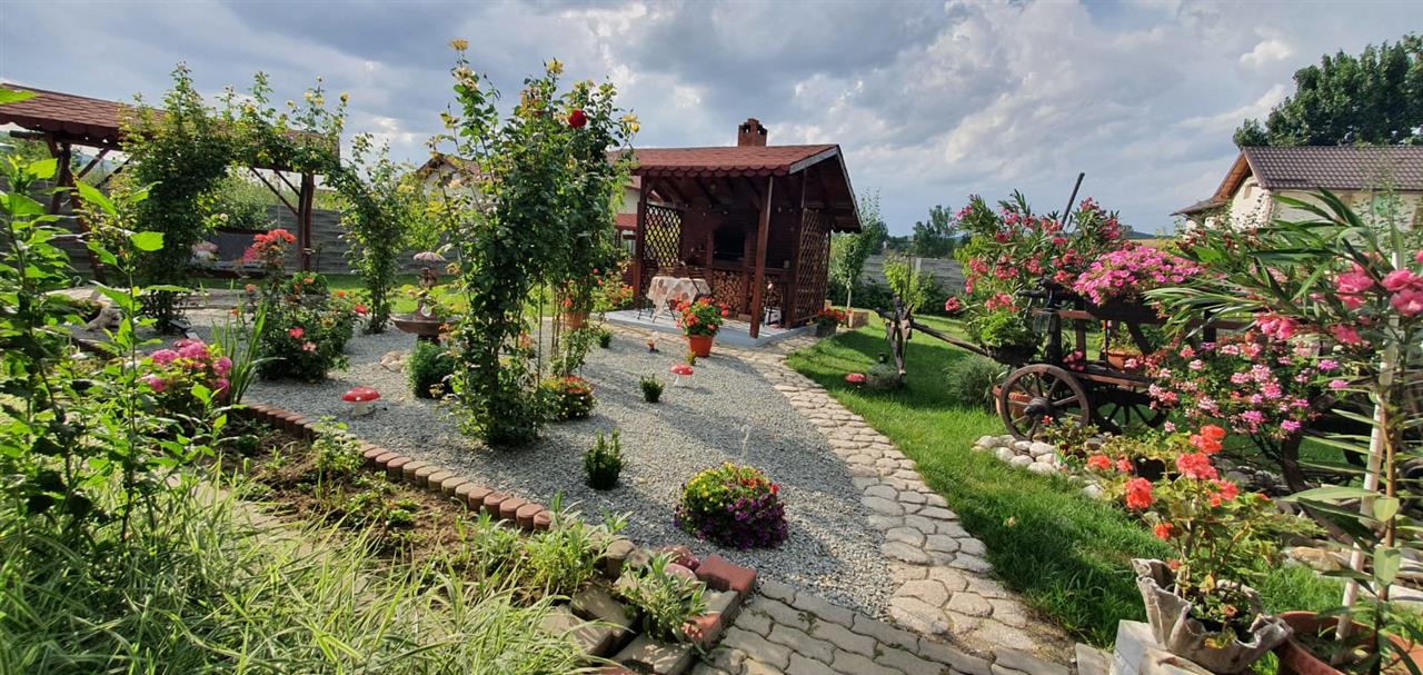 Casa 10 camere, 1000 mp teren, la asfalt, Barabant - foto 5